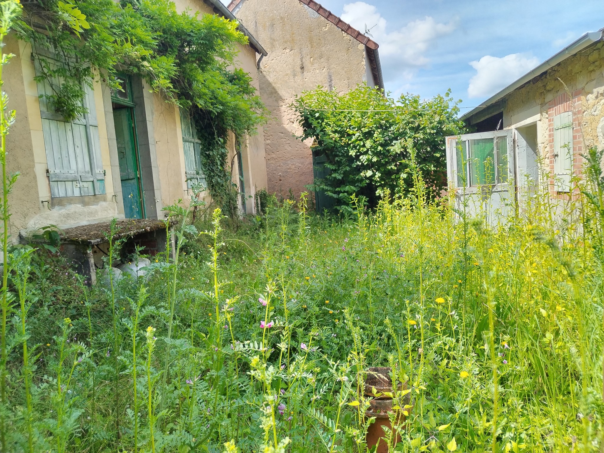 Vente Maison à la Guerche-sur-l'Aubois 6 pièces