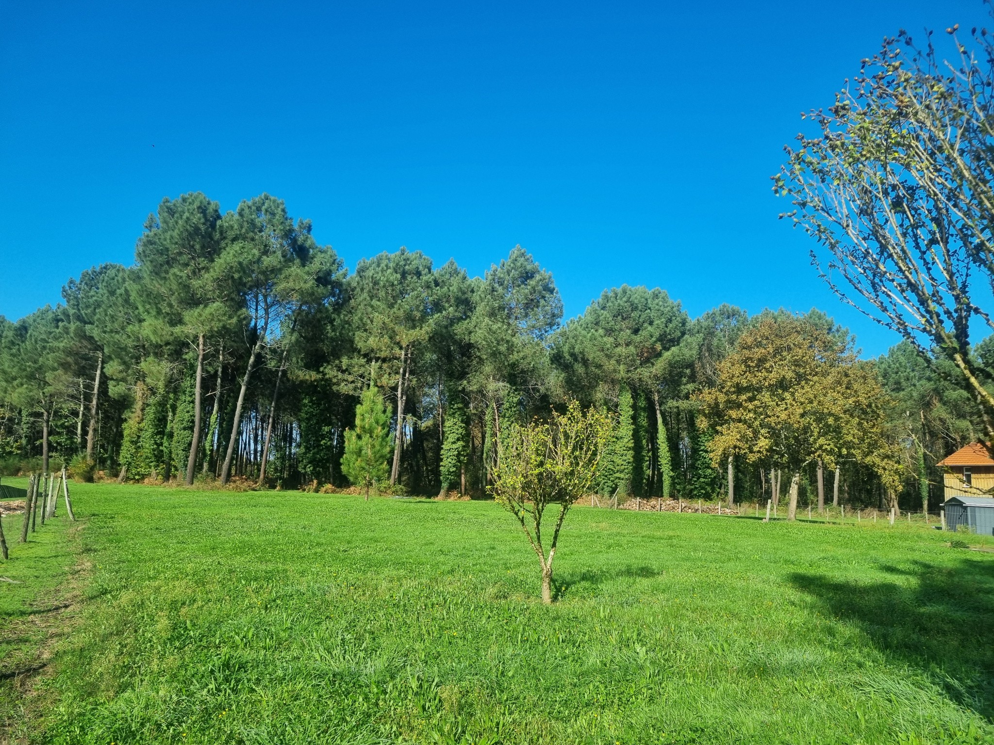 Vente Maison à Bazas 6 pièces