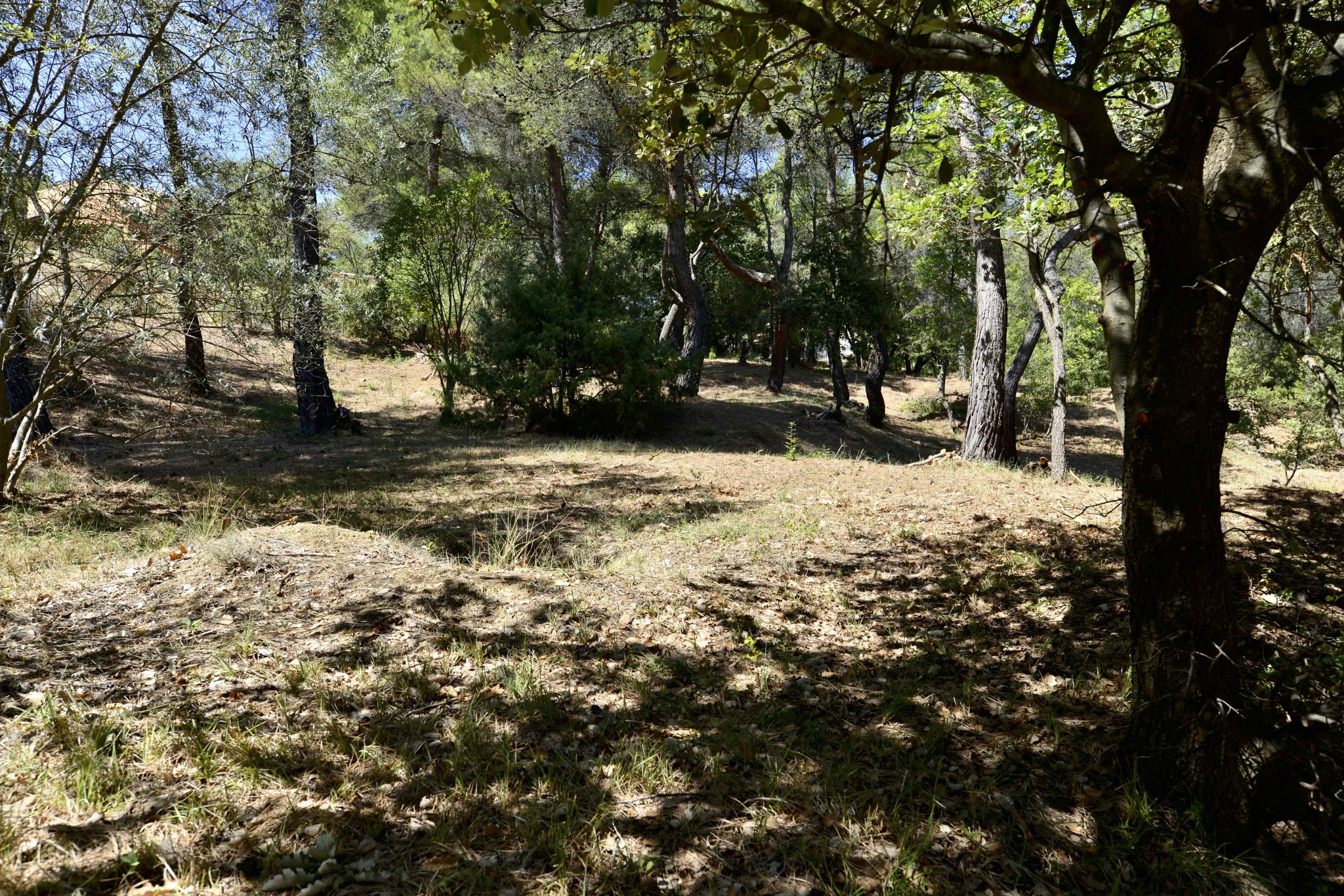 Vente Maison à Grambois 5 pièces