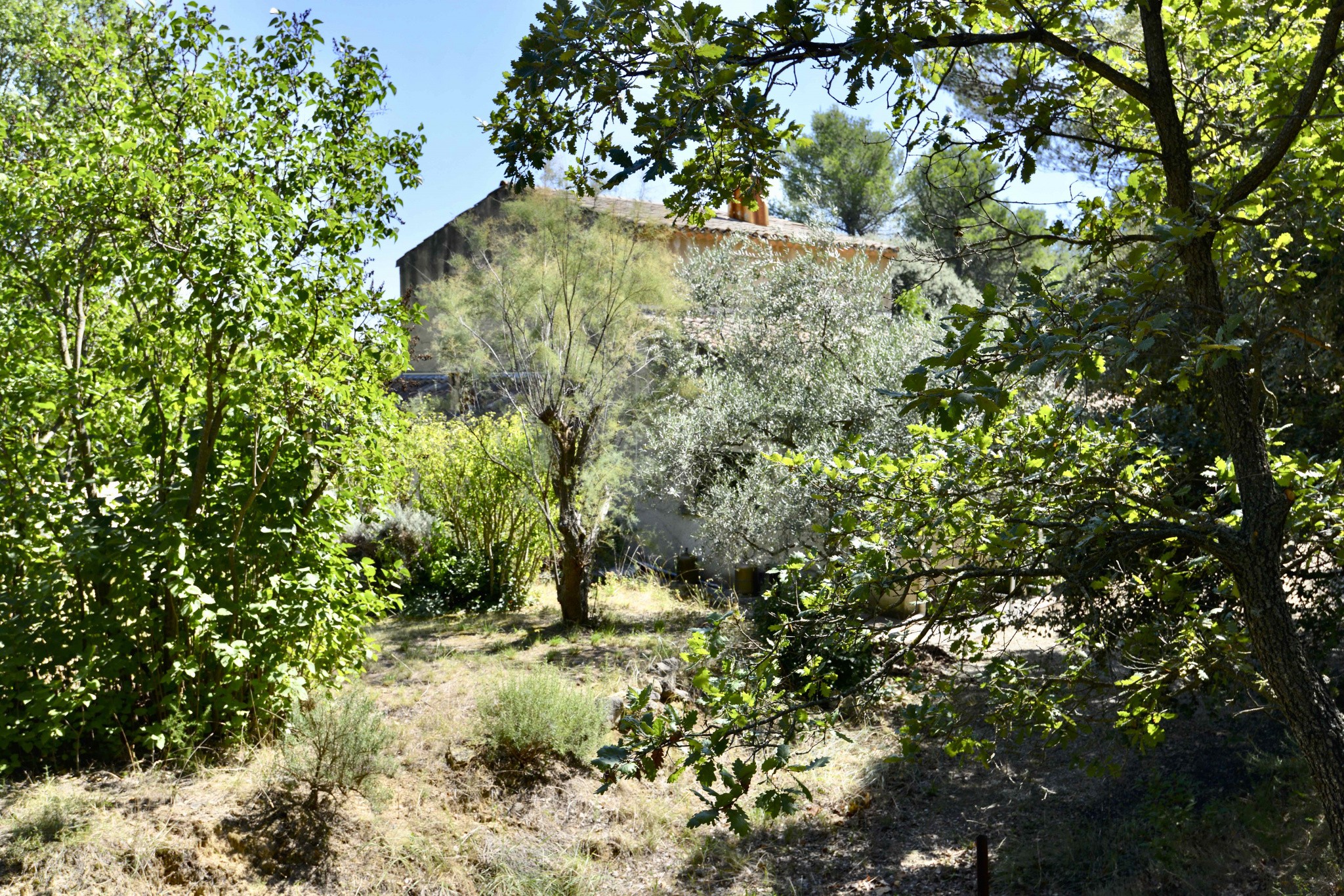 Vente Maison à Grambois 5 pièces