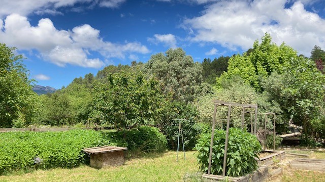 Vente Maison à Buis-les-Baronnies 5 pièces