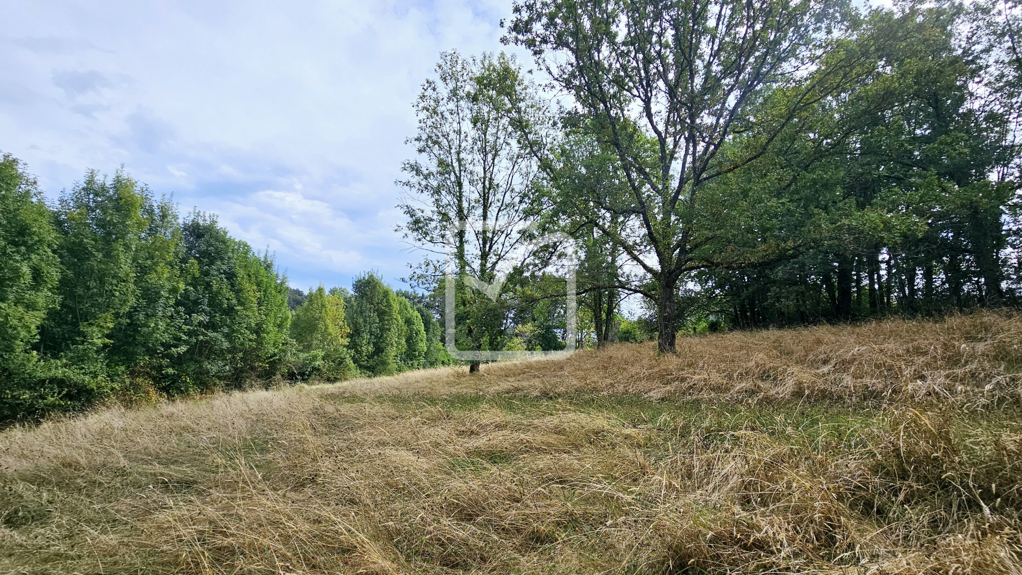 Vente Terrain à Vignols 0 pièce