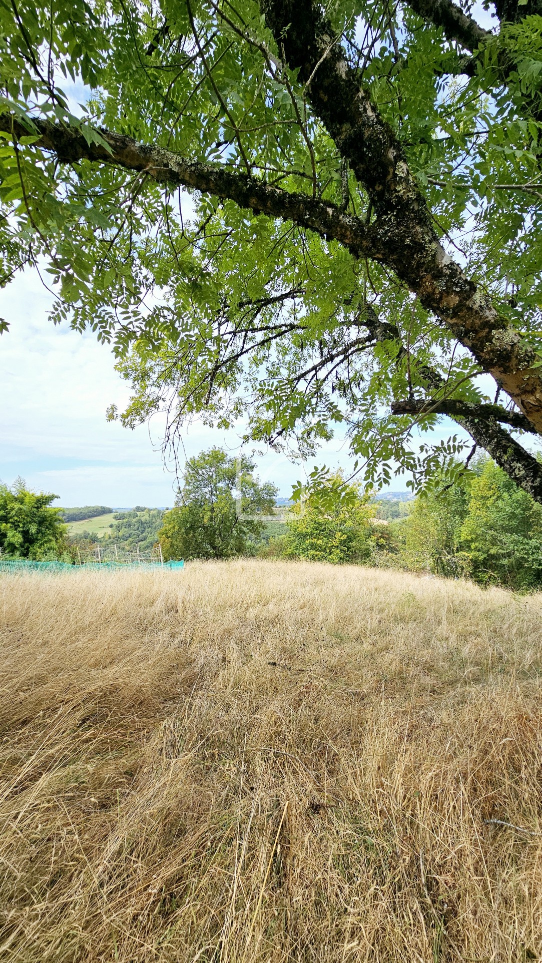 Vente Terrain à Vignols 0 pièce