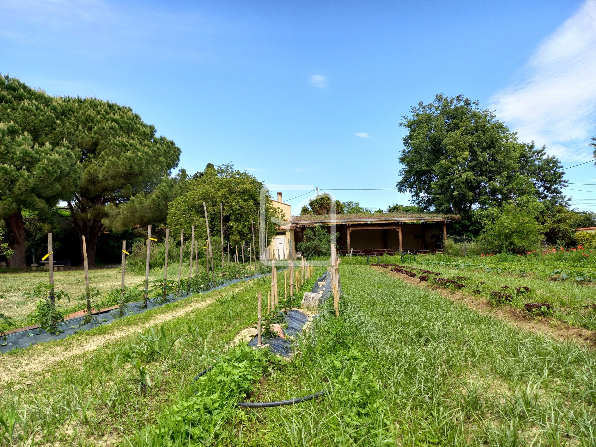 Vente Maison à Palau-del-Vidre 9 pièces