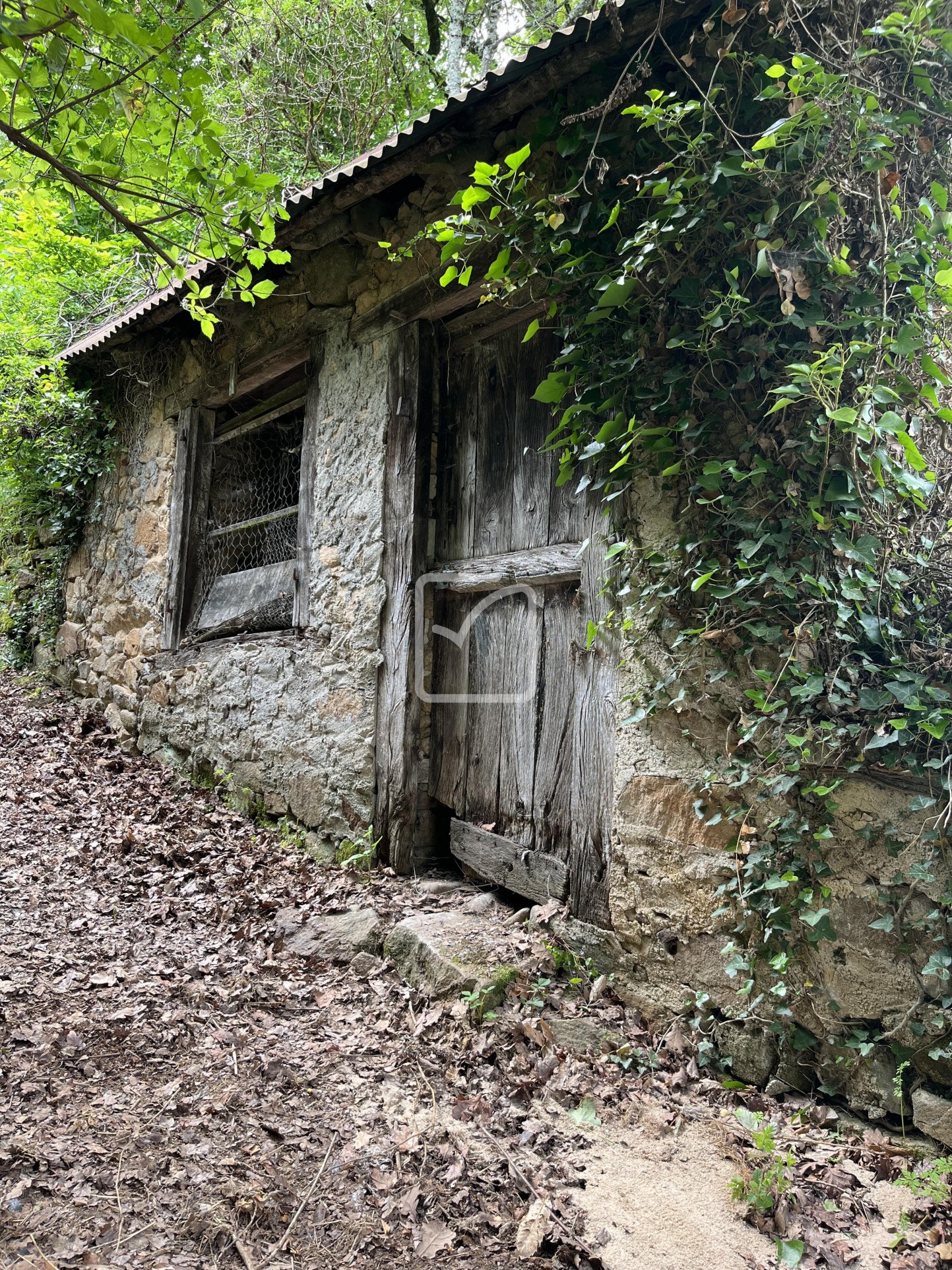 Vente Maison à Saint-Bonnet-l'Enfantier 3 pièces