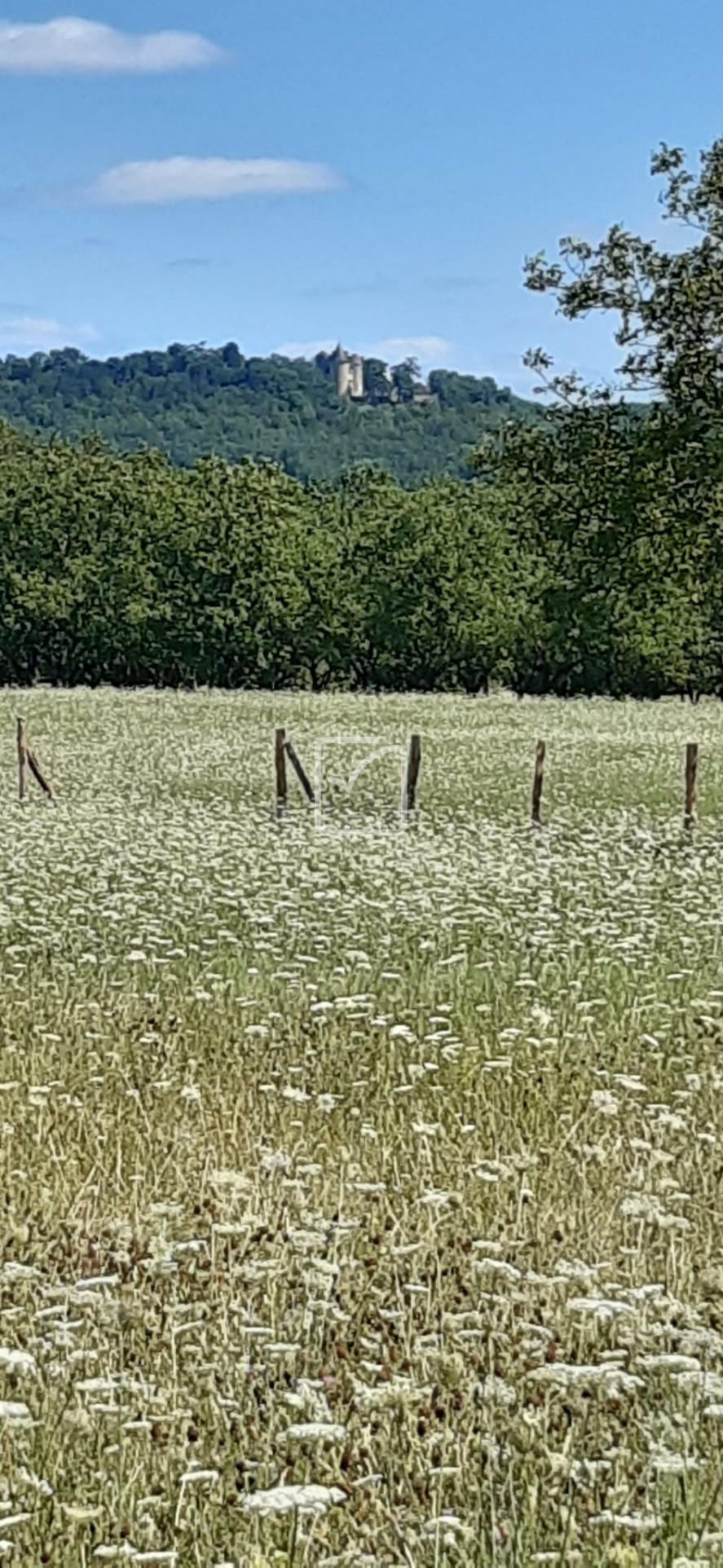 Vente Maison à Condat 6 pièces