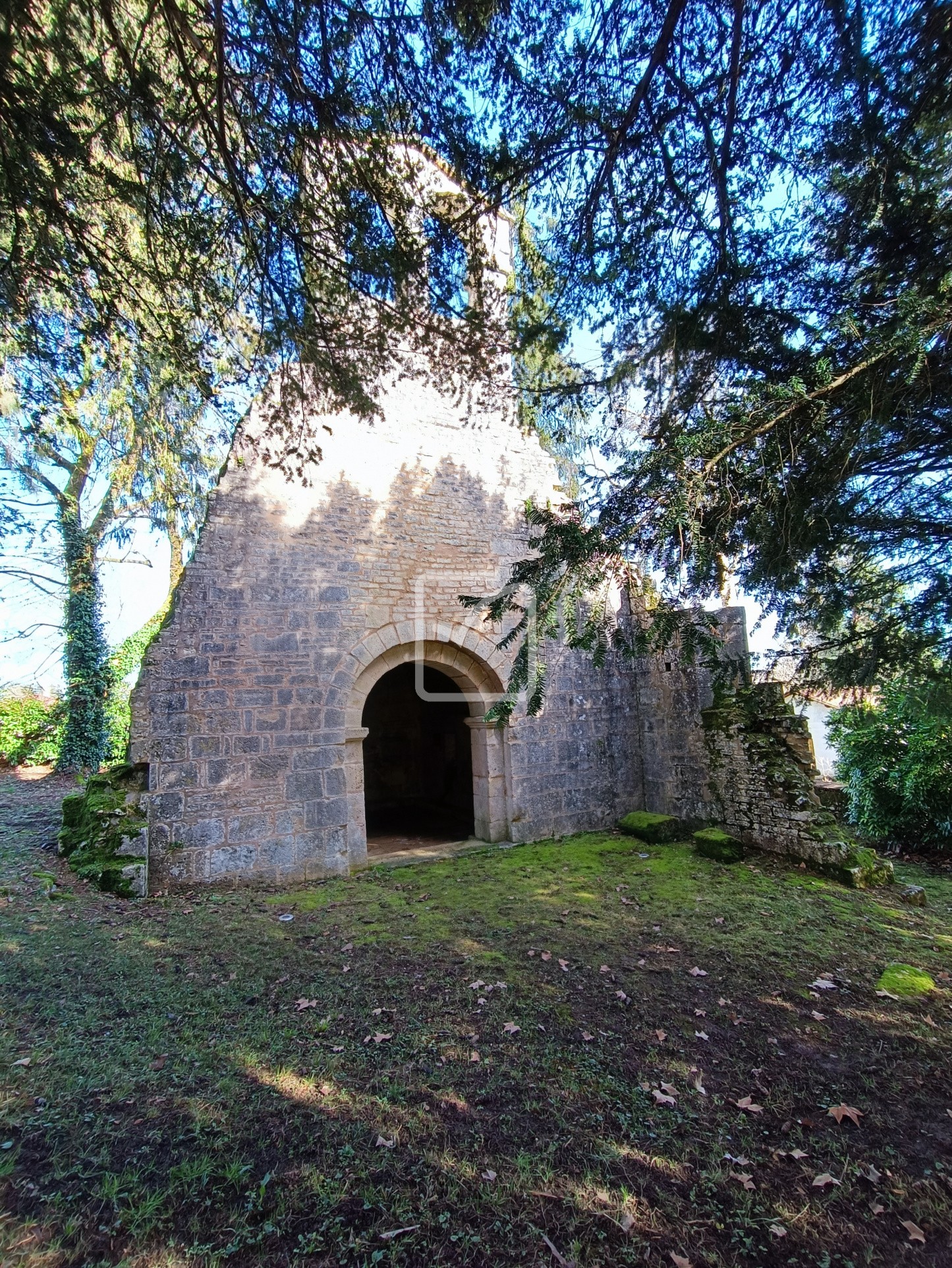 Vente Maison à Savignac-les-Églises 7 pièces