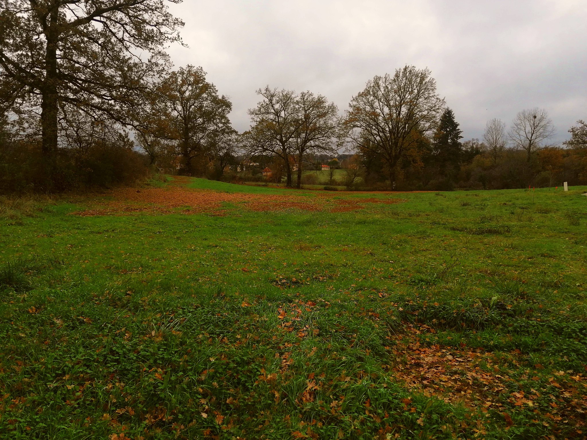 Vente Terrain à Lacapelle-Marival 0 pièce