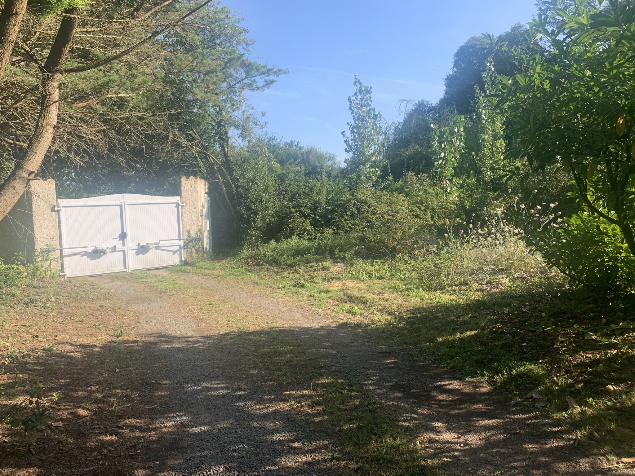 Vente Terrain à Château-d'Olonne 0 pièce