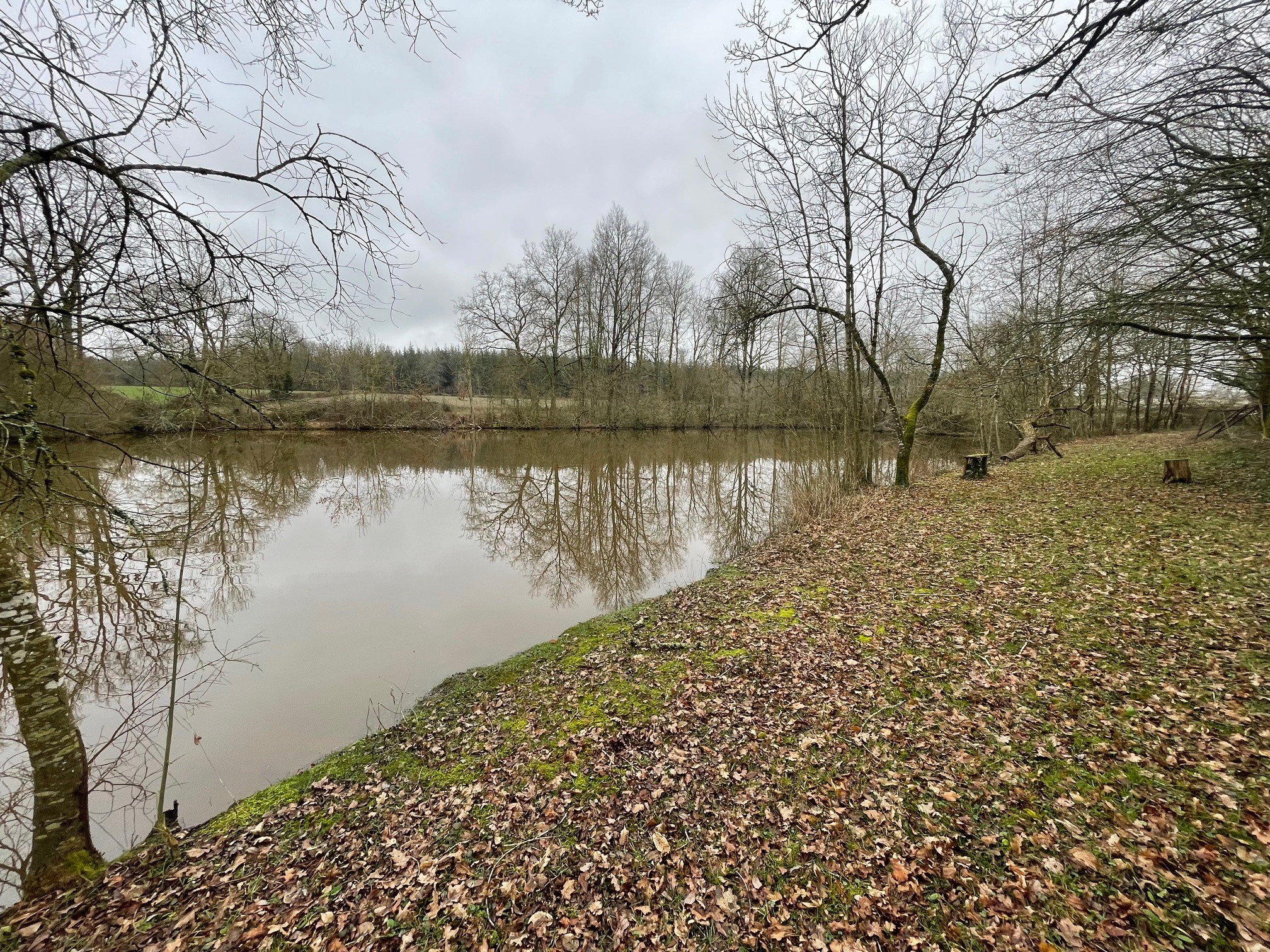 Vente Maison à Puy-de-Serre 4 pièces