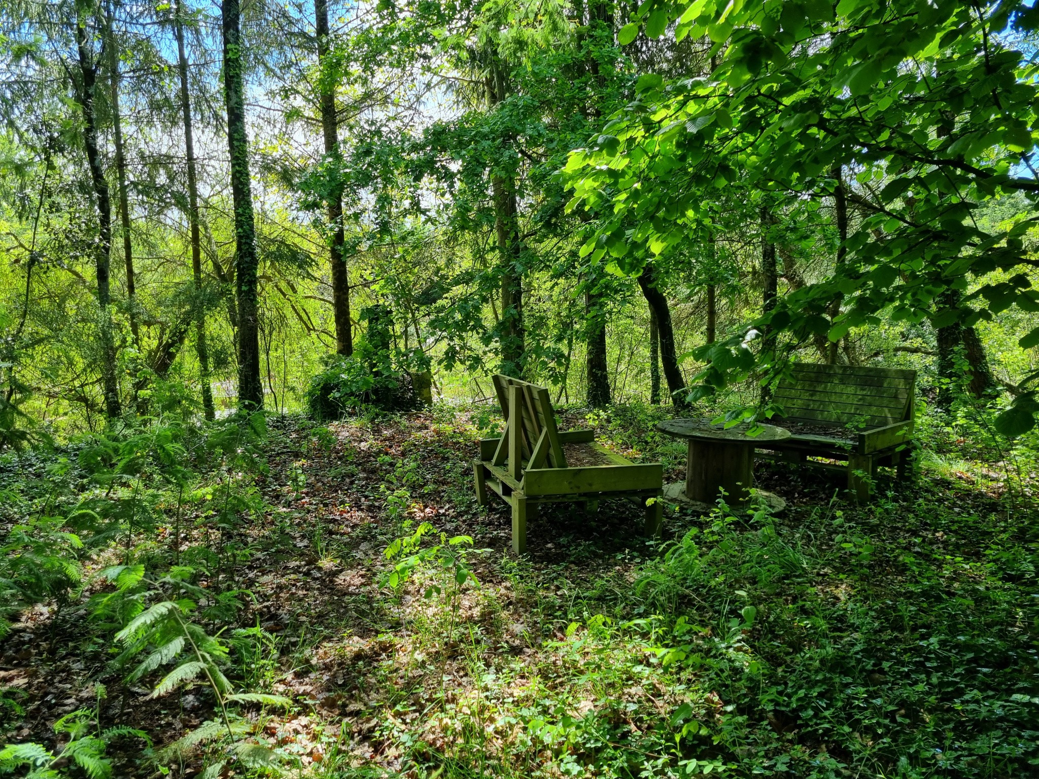 Vente Terrain à Talmont-Saint-Hilaire 0 pièce