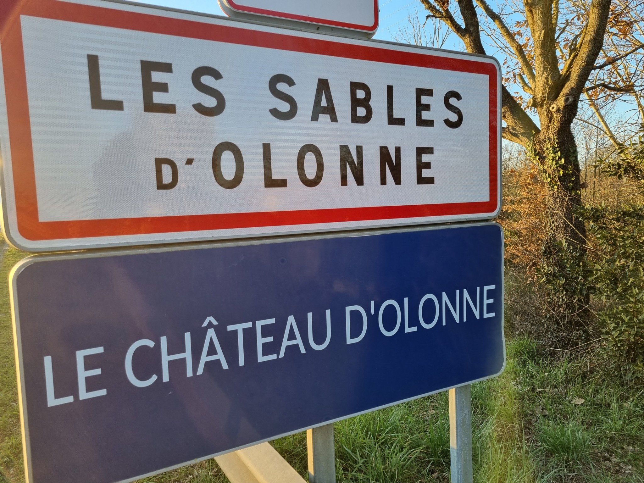 Vente Terrain à Château-d'Olonne 0 pièce