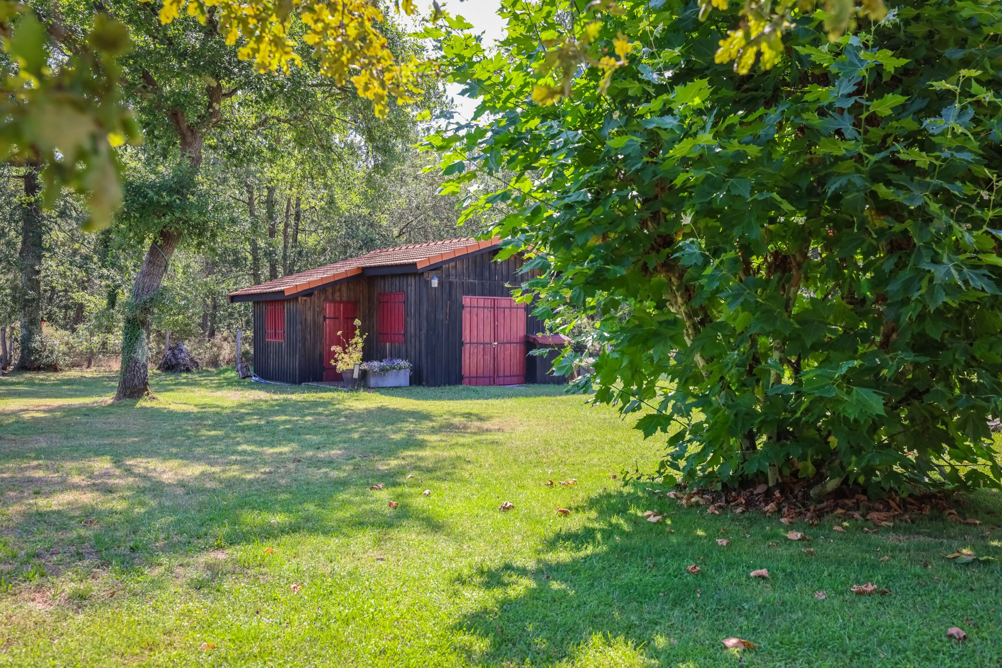 Vente Maison à Belin-Béliet 4 pièces