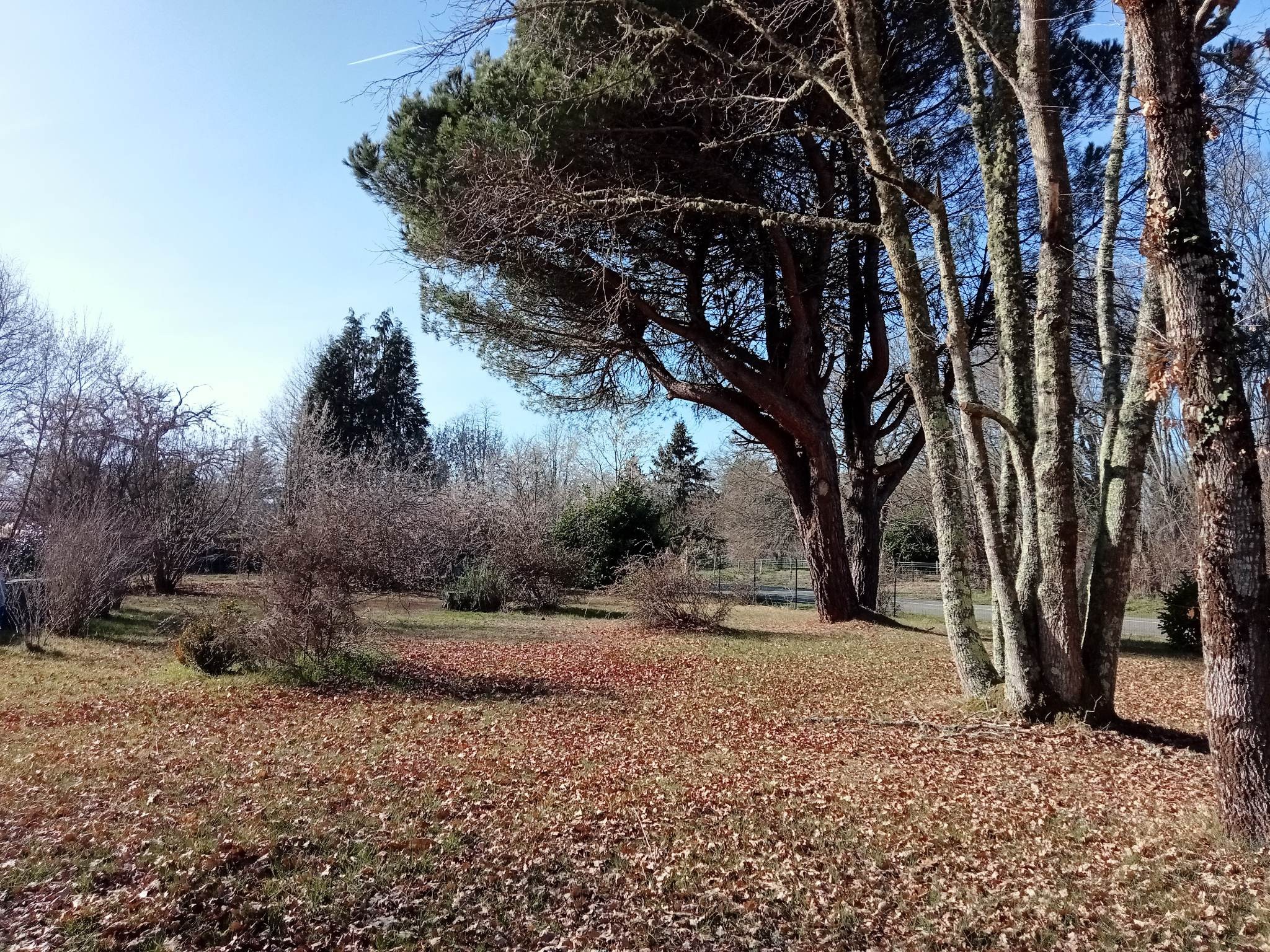 Vente Terrain à Balizac 0 pièce