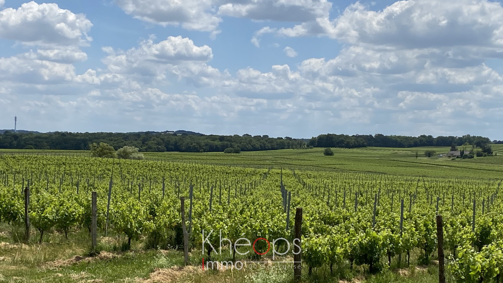 Vente Maison à Saint-Martial 10 pièces