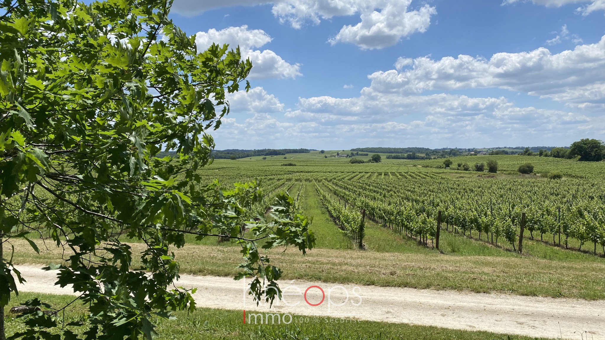 Vente Maison à Saint-Martial 10 pièces