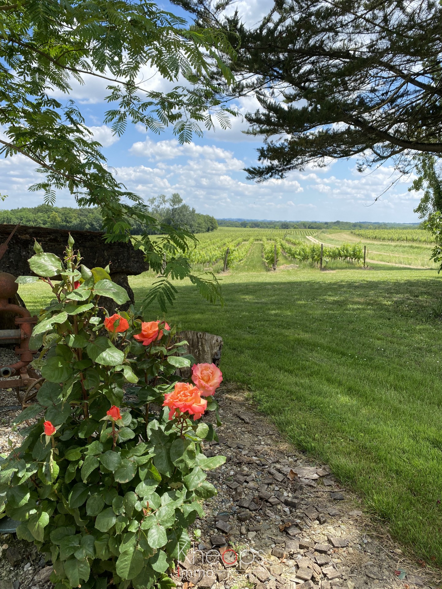 Vente Maison à Saint-Martial 10 pièces