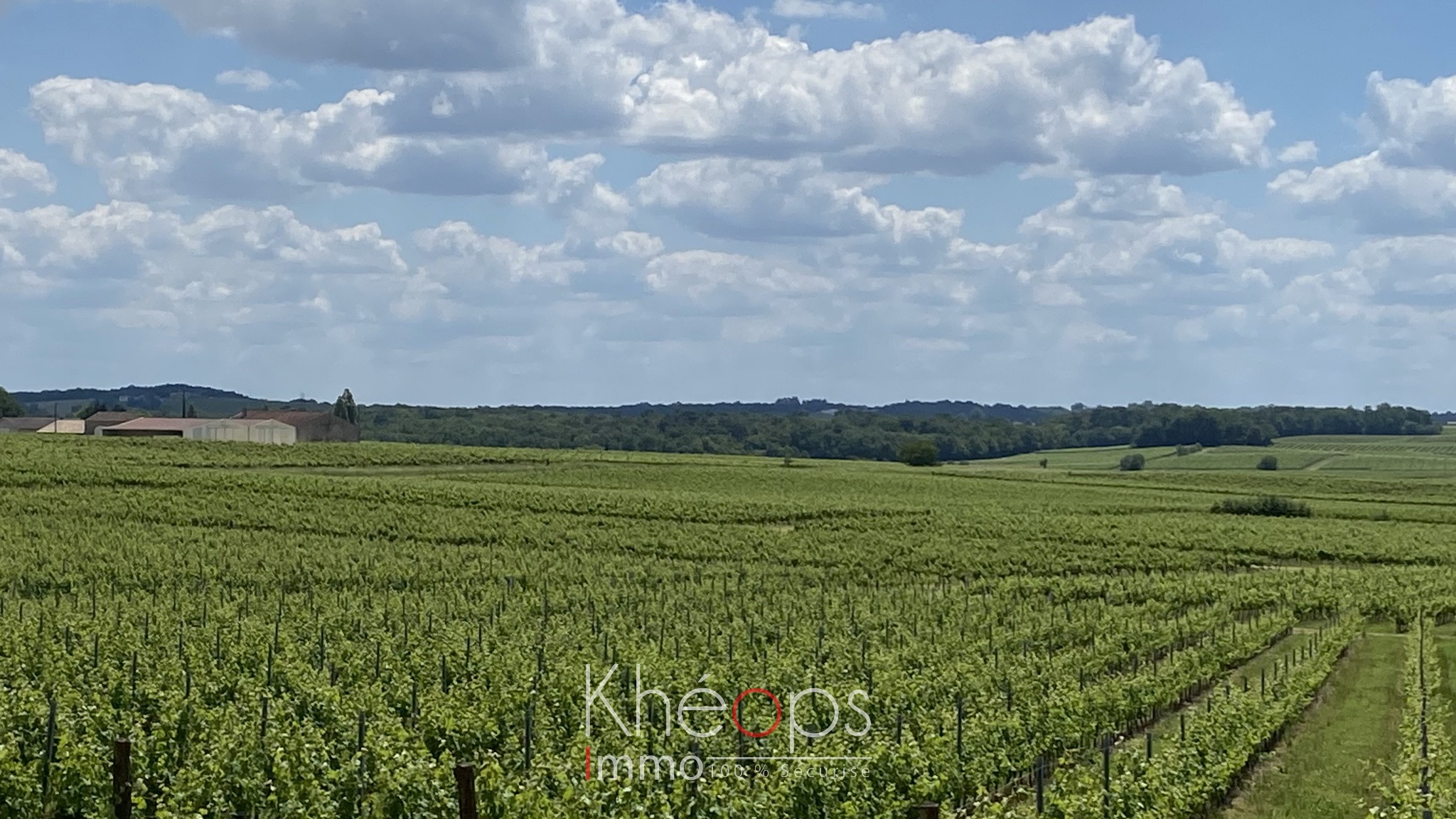 Vente Maison à Saint-Martial 10 pièces