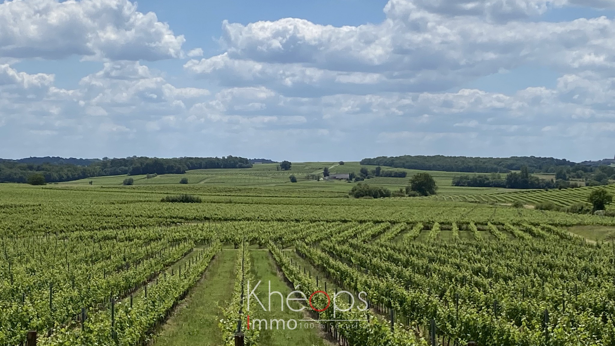 Vente Maison à Saint-Martial 10 pièces