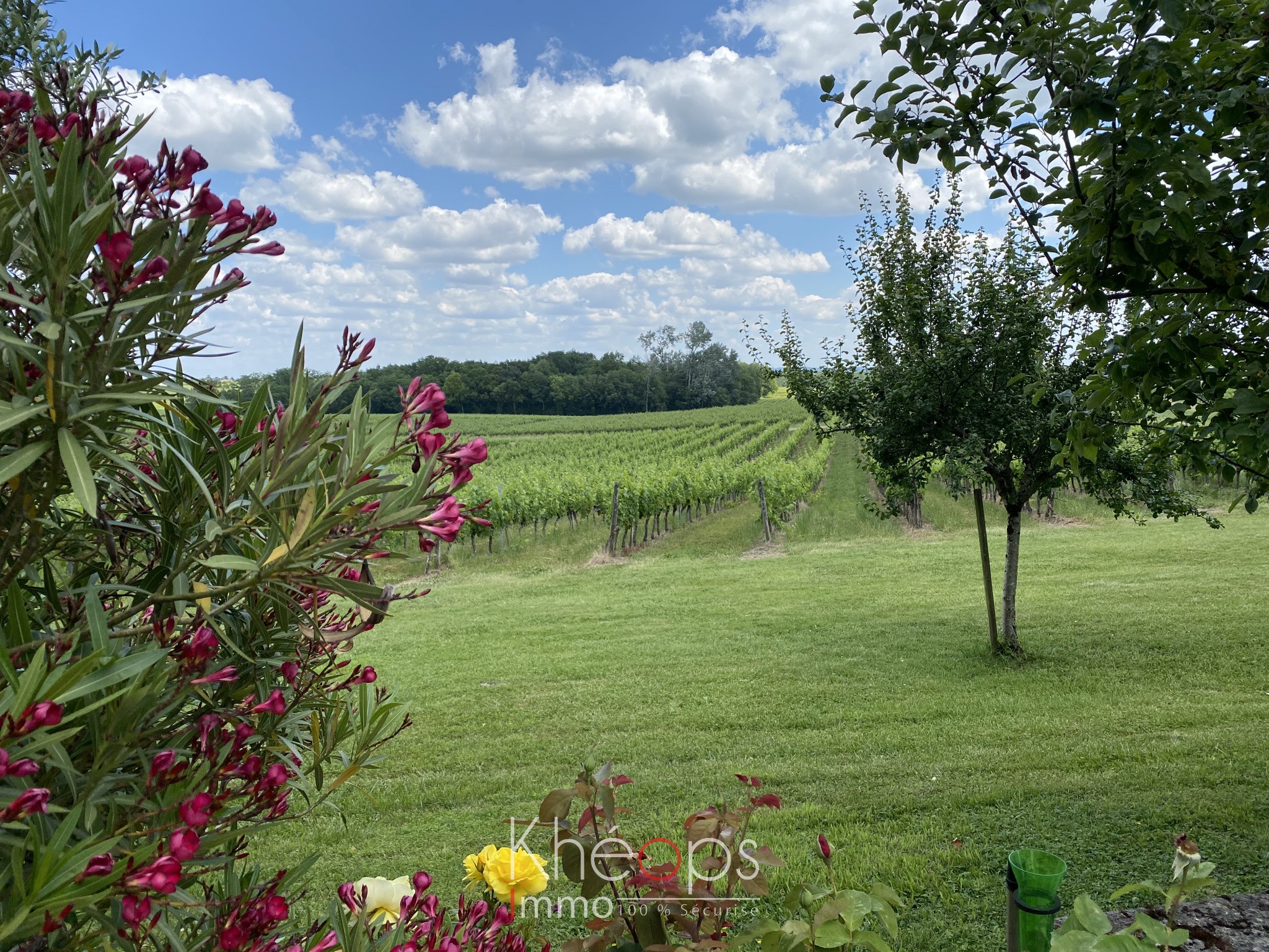 Vente Maison à Saint-Martial 10 pièces