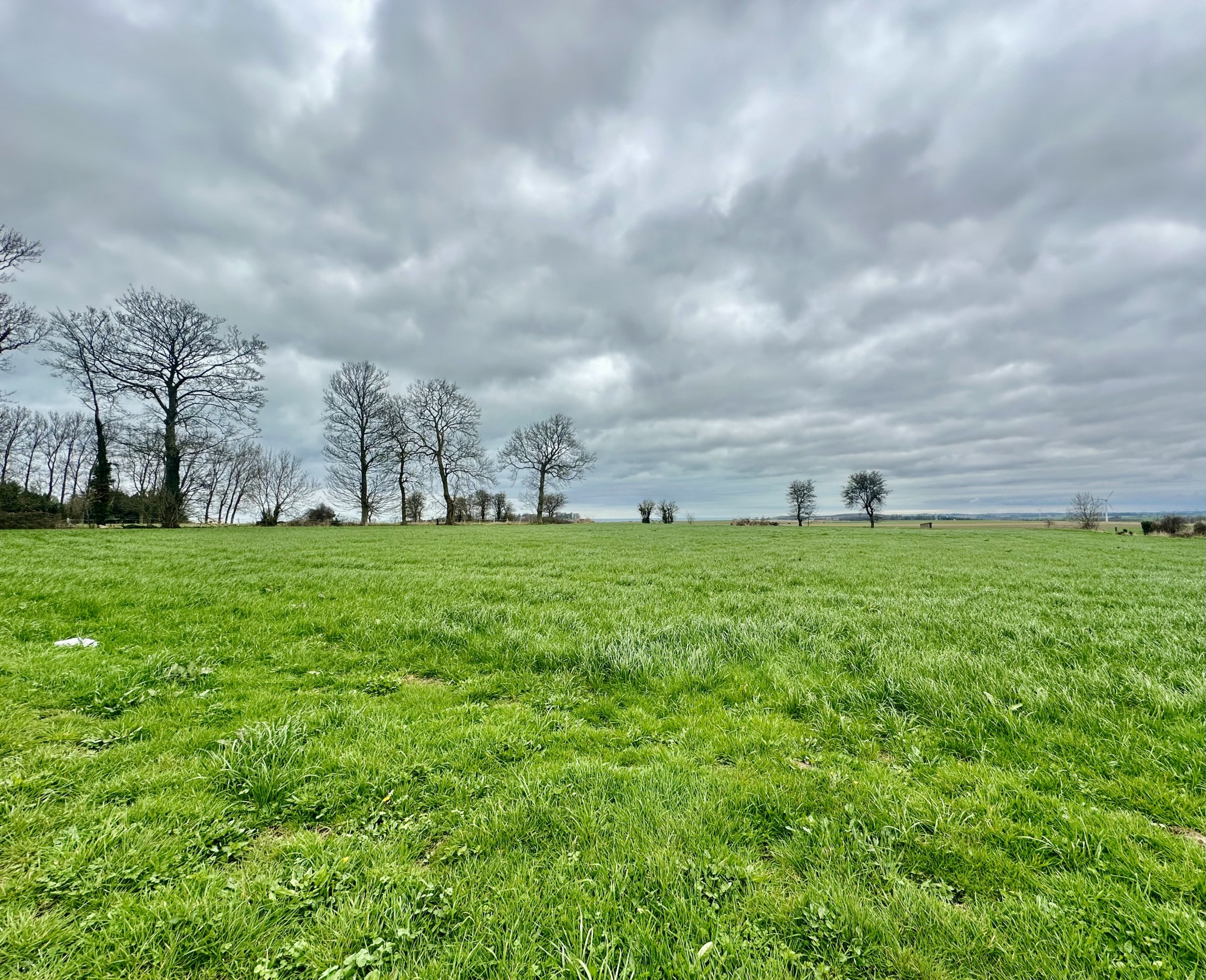 Vente Maison à Dieppe 3 pièces