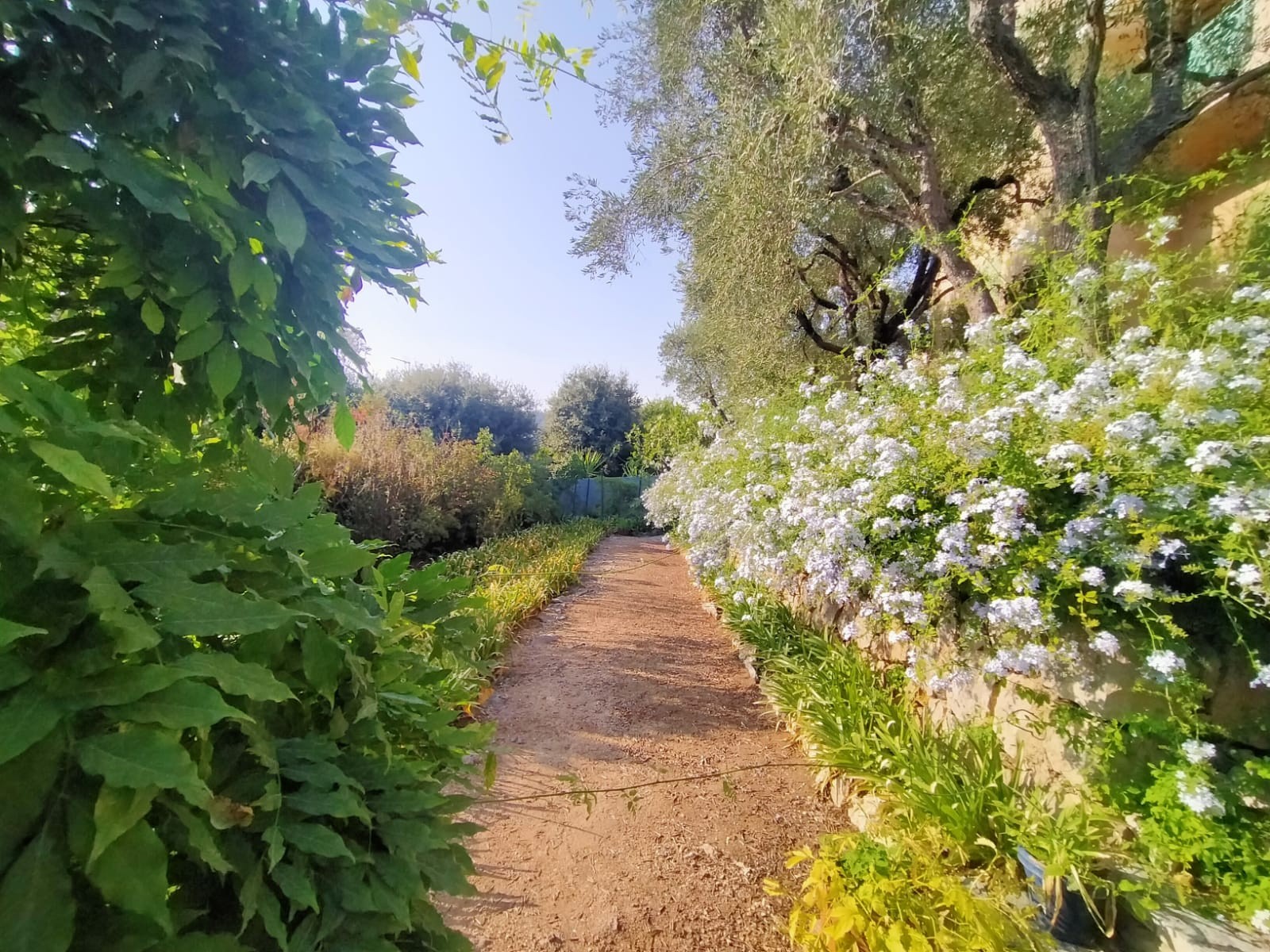 Vente Maison à Grasse 8 pièces