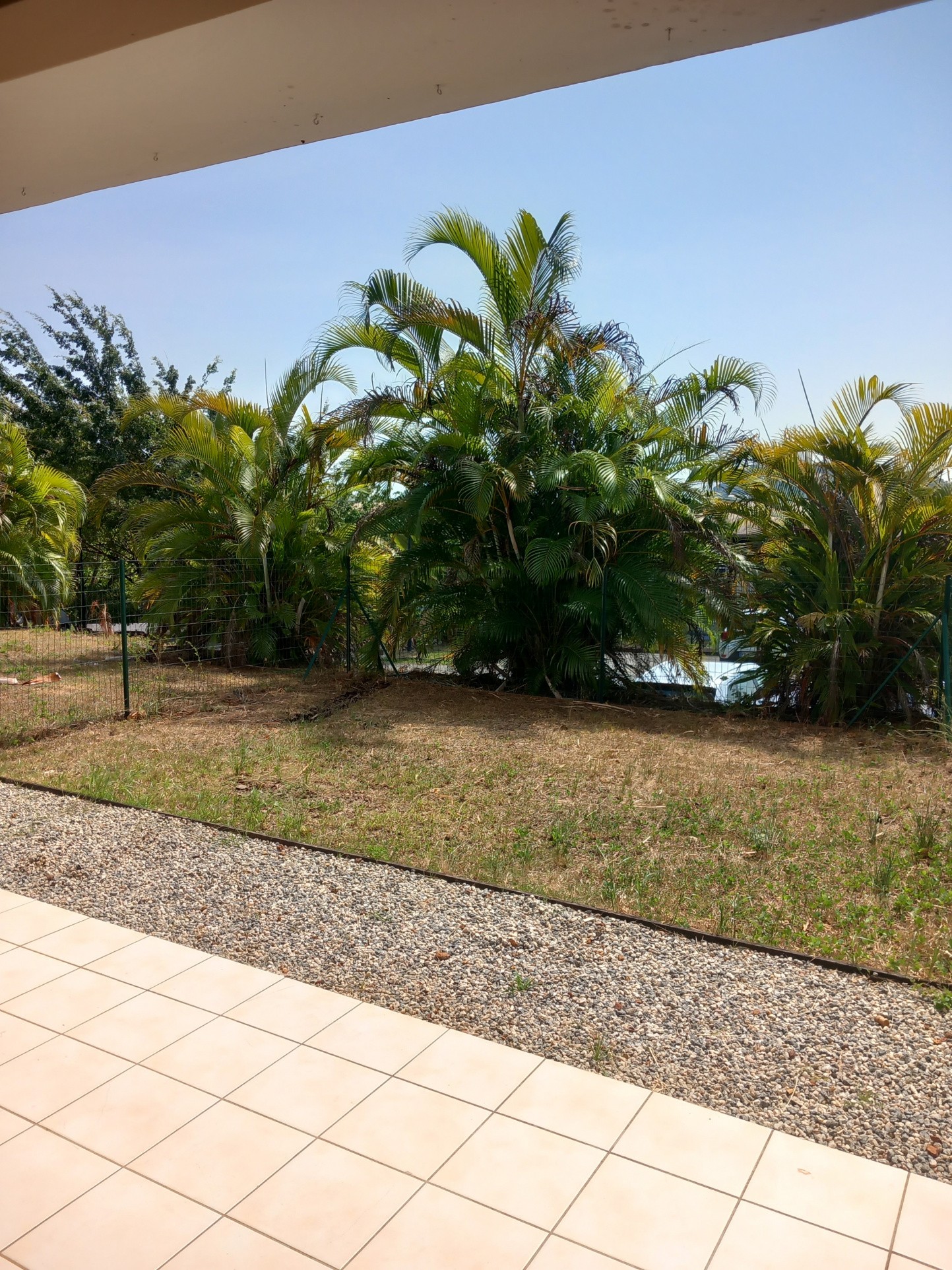 Vente Appartement à Cayenne 2 pièces