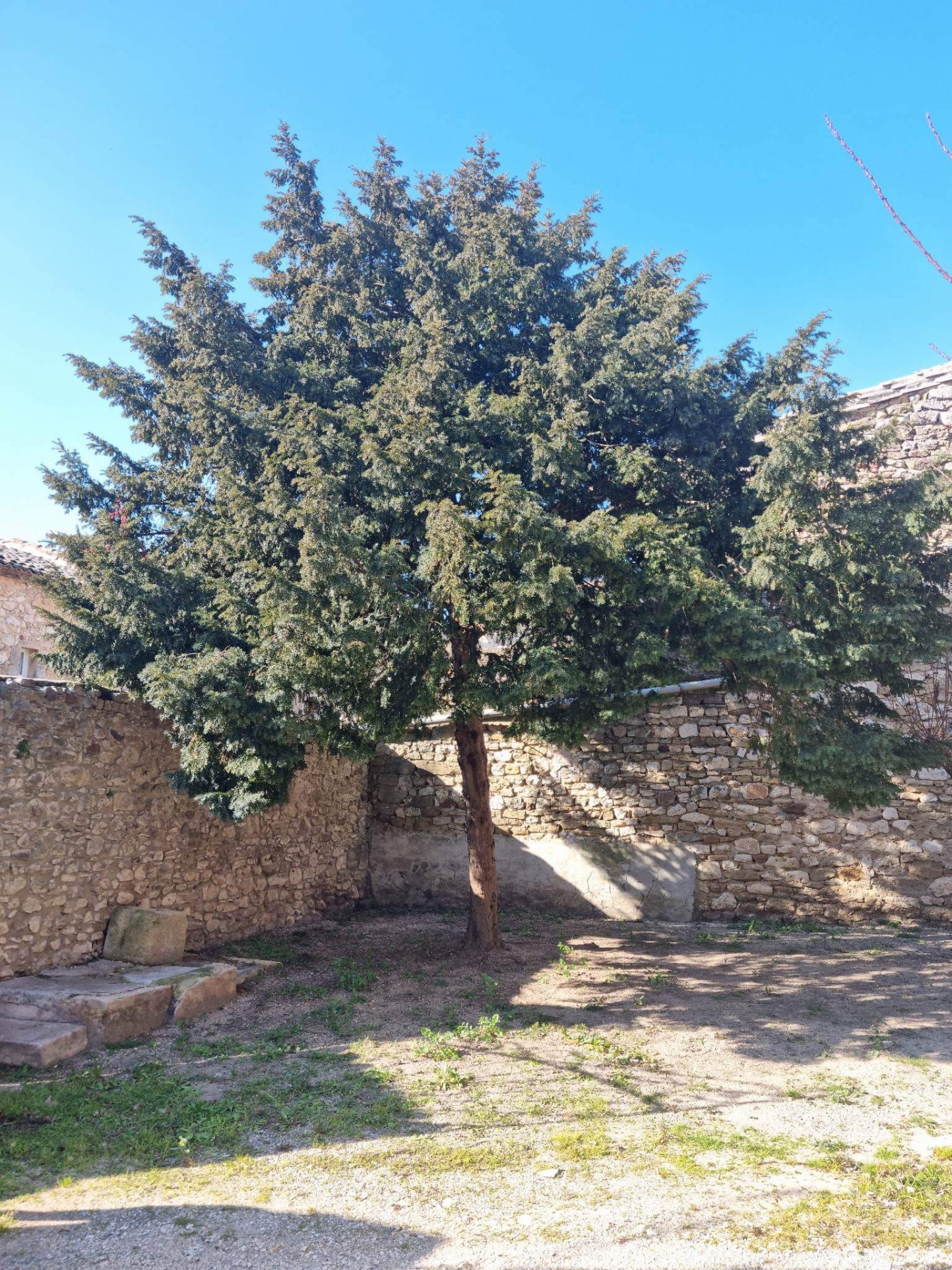 Vente Maison à Saint-Hippolyte-de-Montaigu 11 pièces