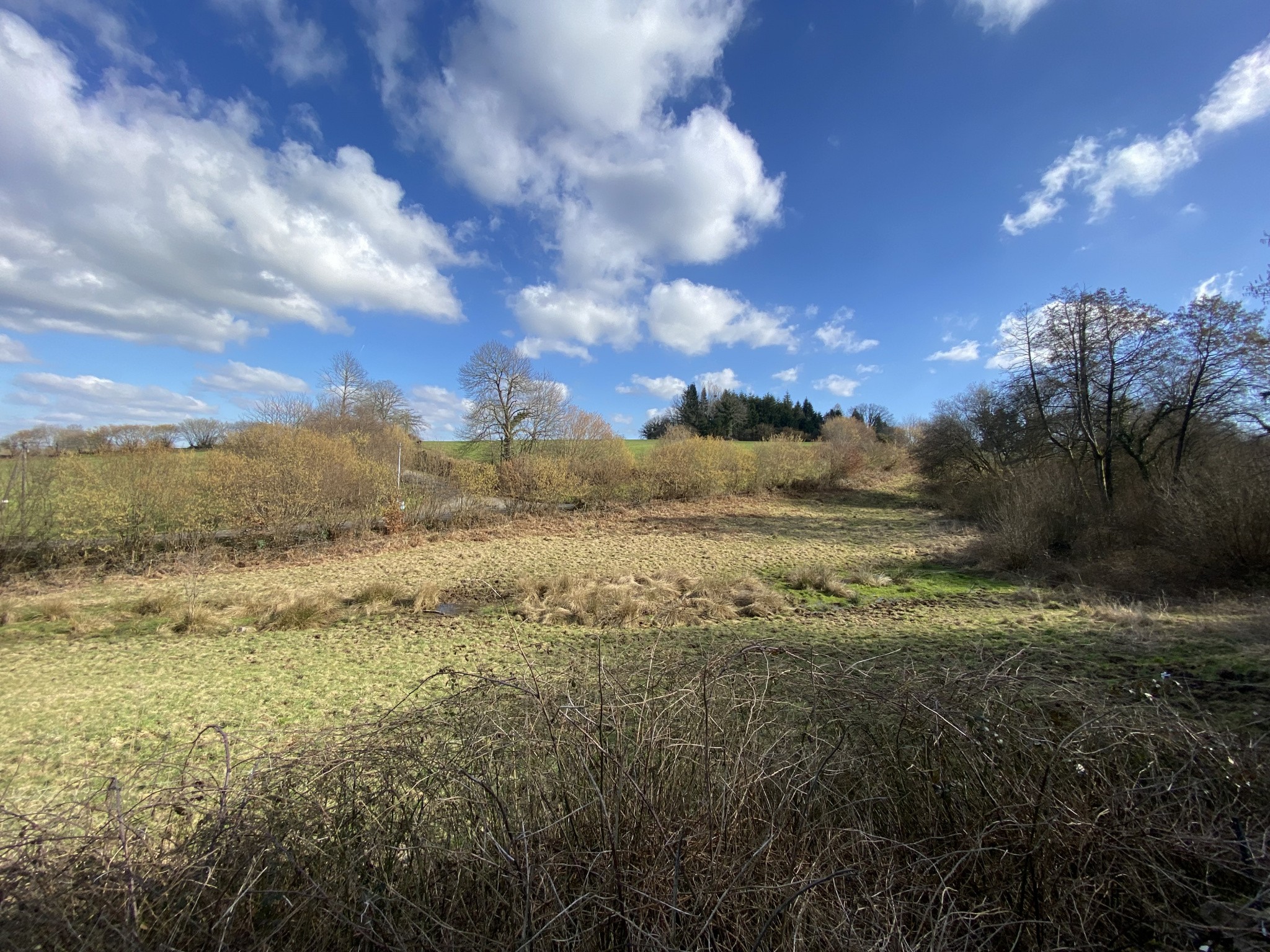 Vente Maison à Sainte-Cécile 4 pièces