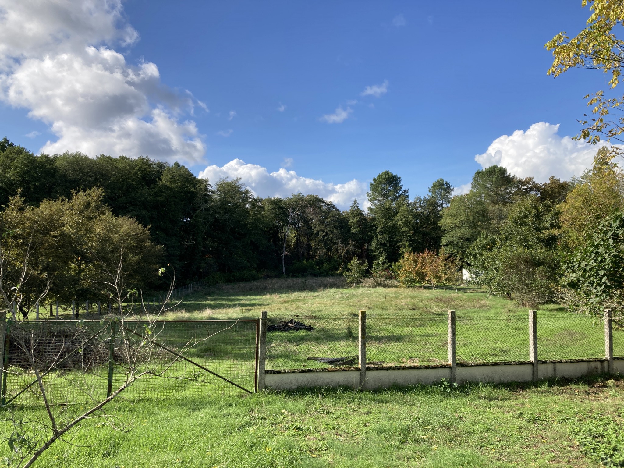 Vente Maison à Bazas 14 pièces