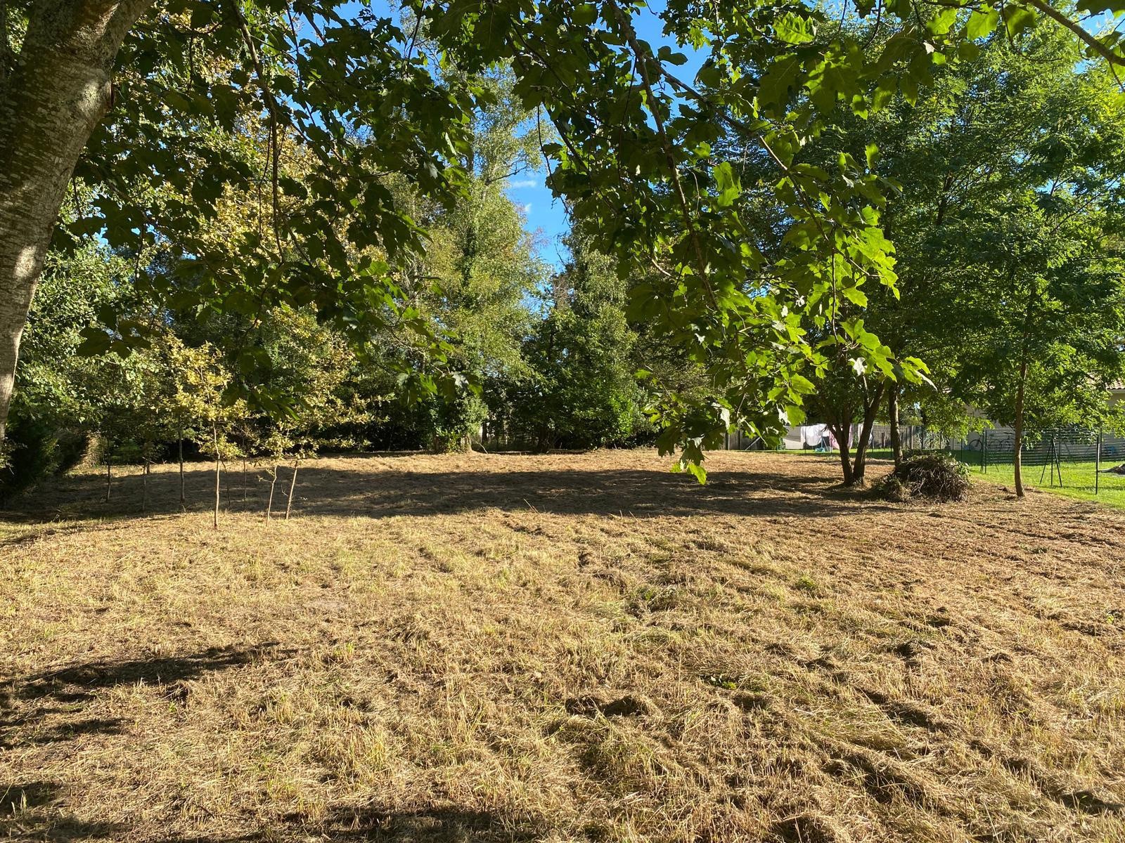 Vente Terrain à Bazas 0 pièce