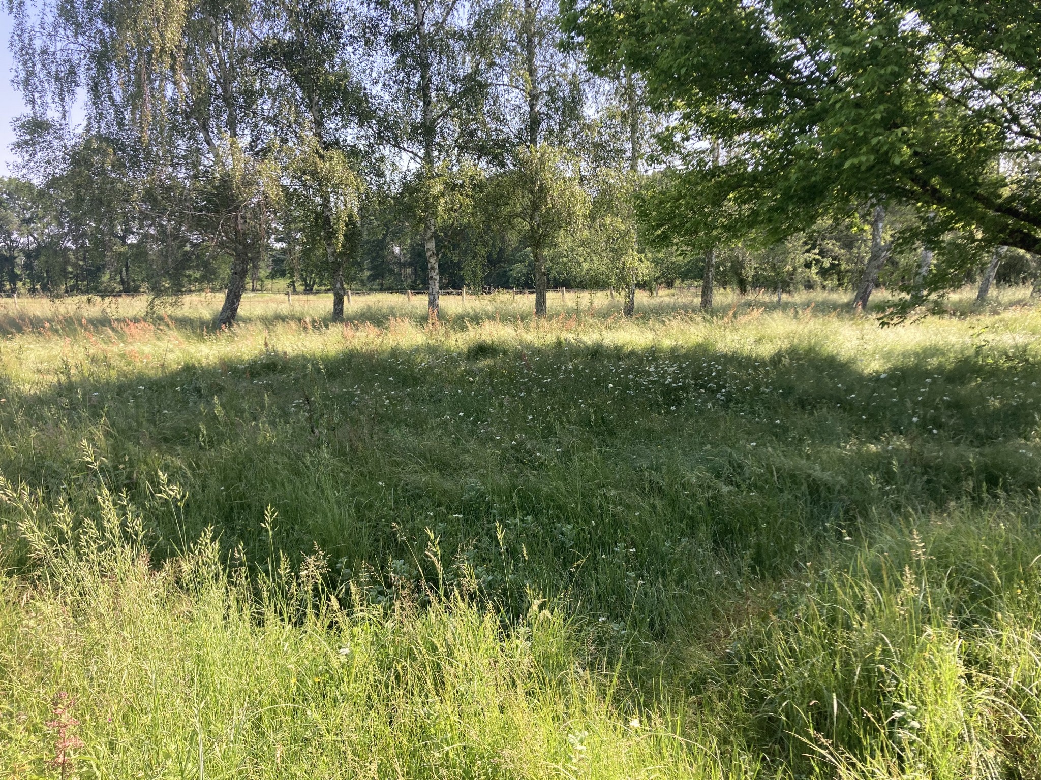 Vente Maison à Bazas 5 pièces