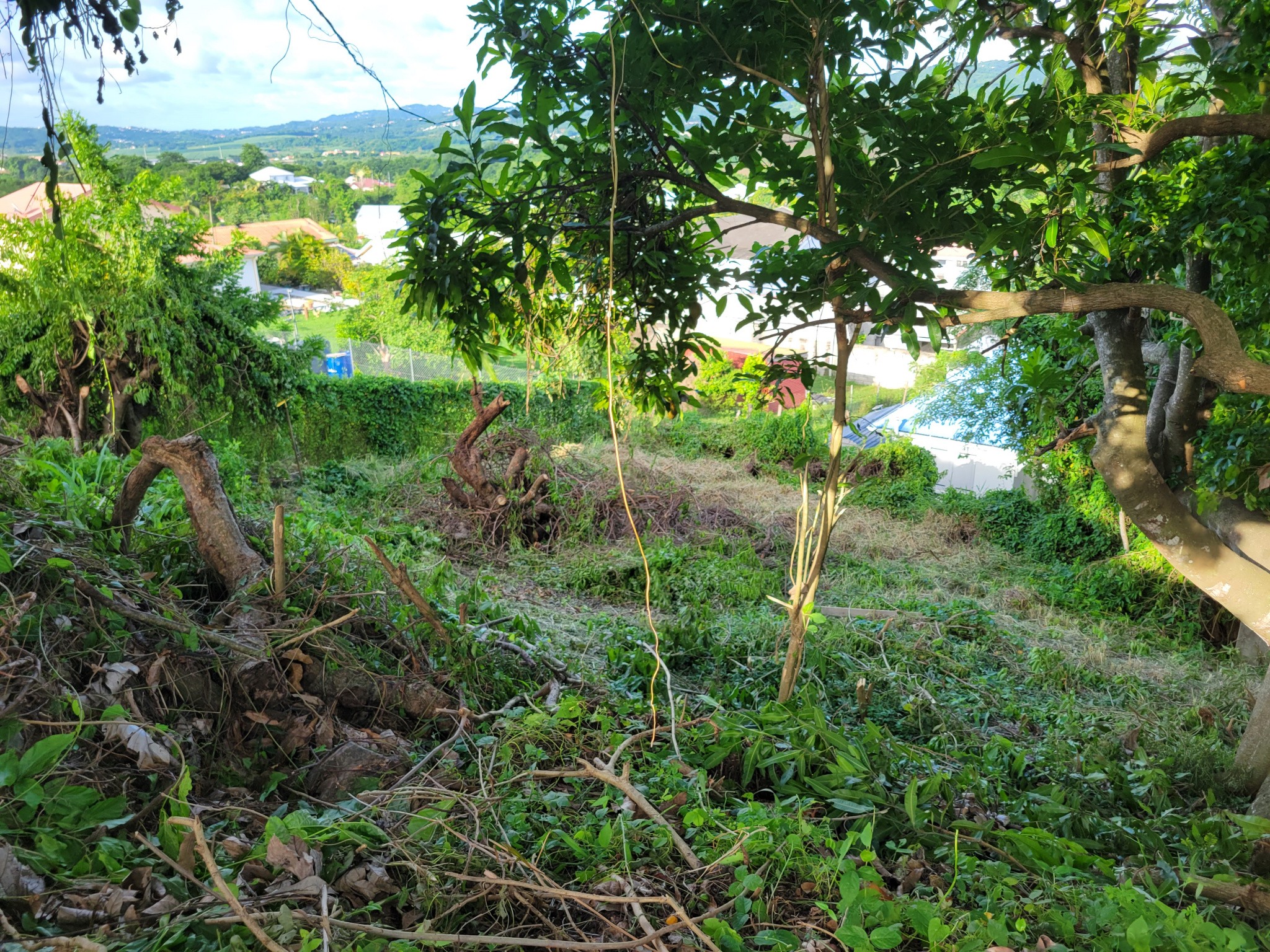 Vente Terrain à Rivière-Salée 0 pièce