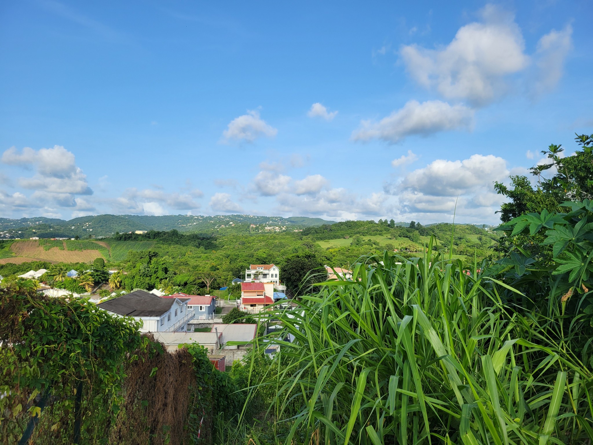 Vente Terrain à Rivière-Salée 0 pièce