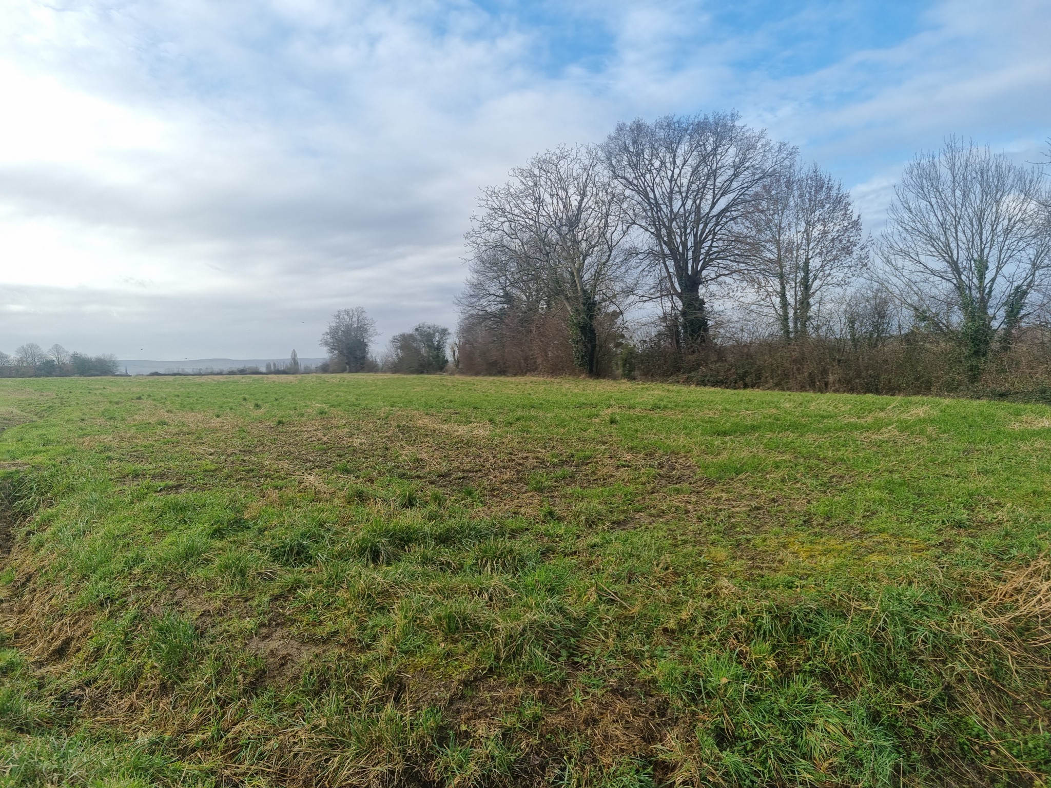 Vente Terrain à le Mêle-sur-Sarthe 0 pièce