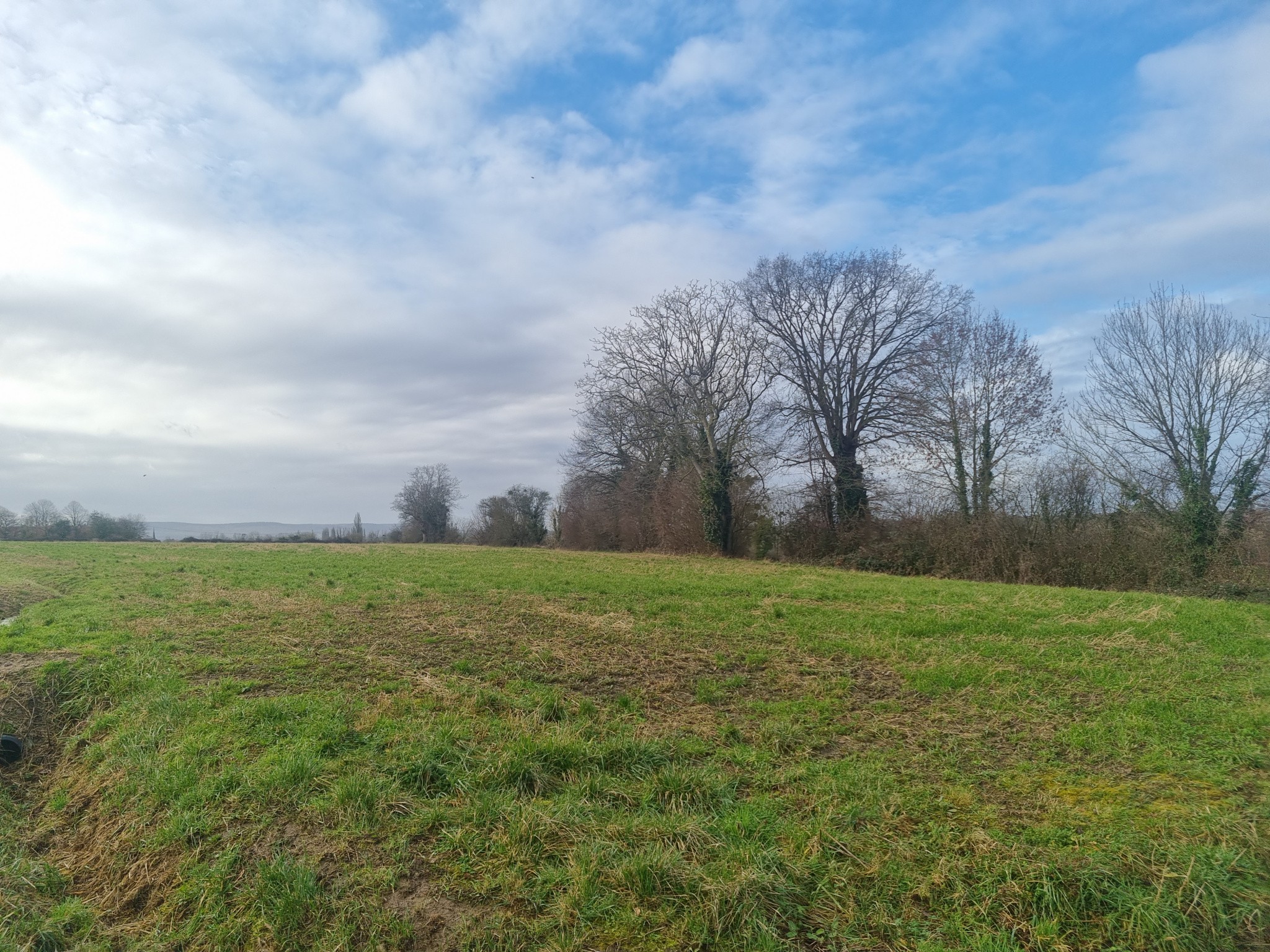 Vente Terrain à le Mêle-sur-Sarthe 0 pièce