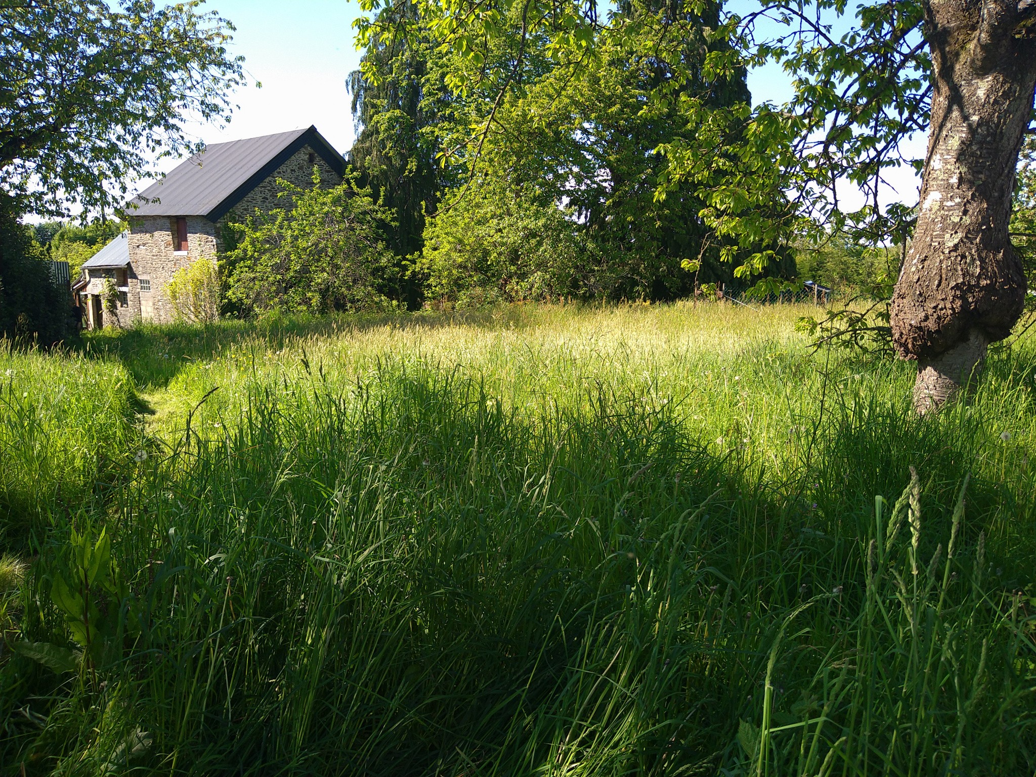 Vente Maison à Chevaigné-du-Maine 7 pièces