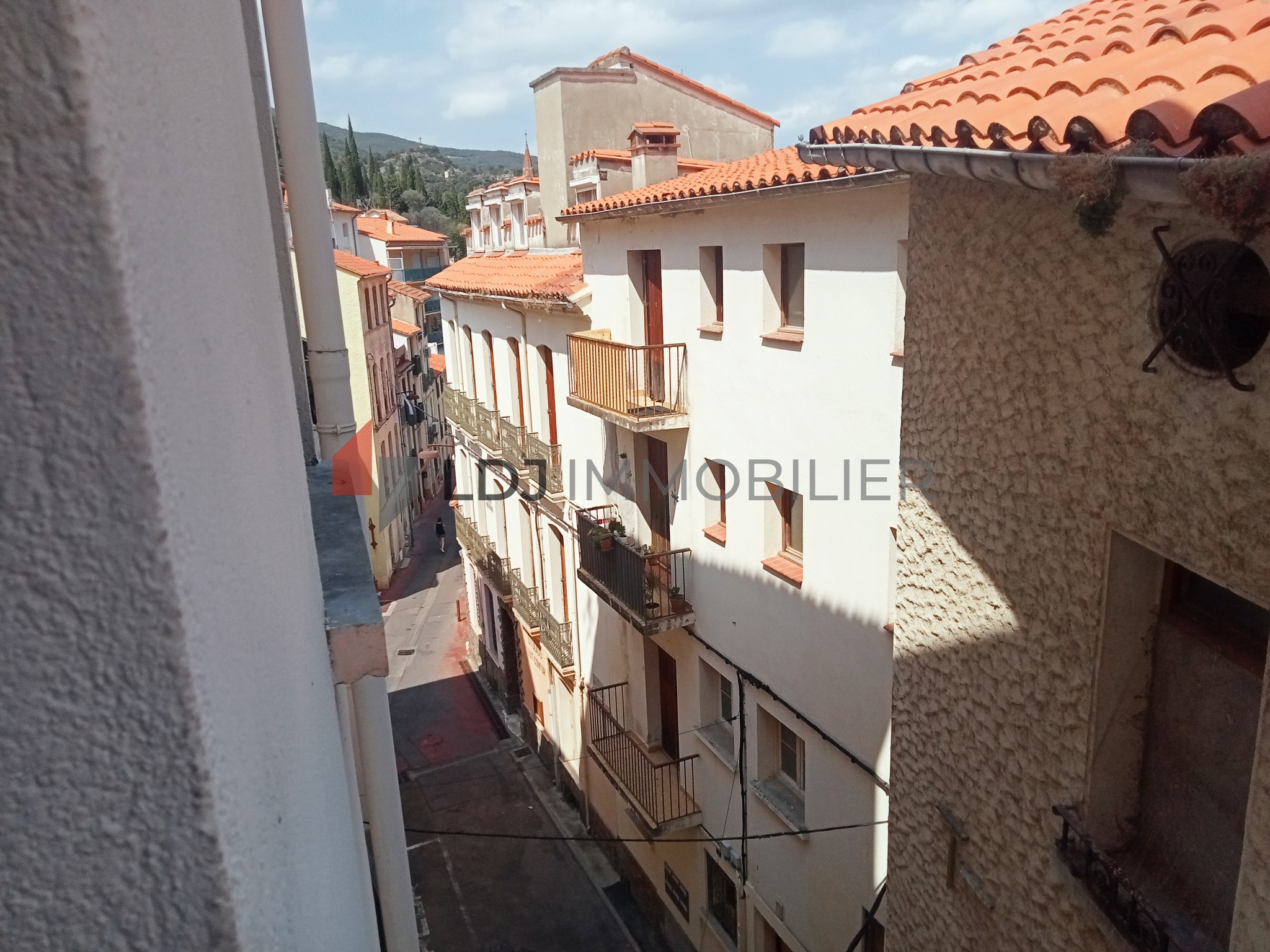 Vente Appartement à Amélie-les-Bains-Palalda 1 pièce