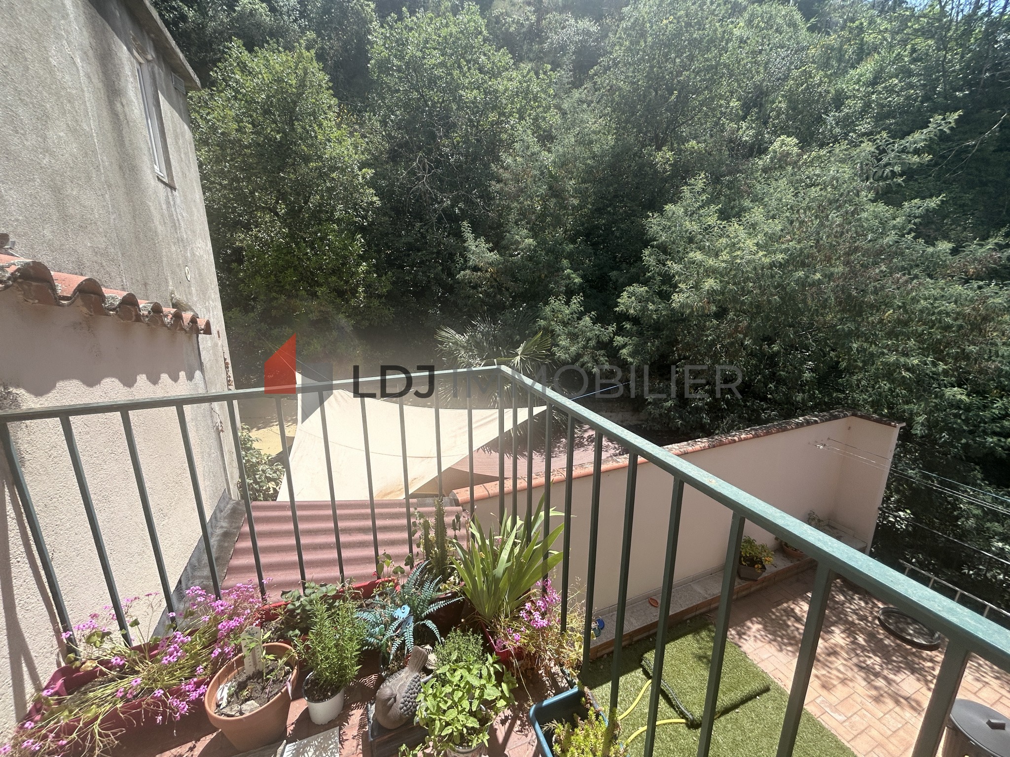 Vente Appartement à Amélie-les-Bains-Palalda 2 pièces