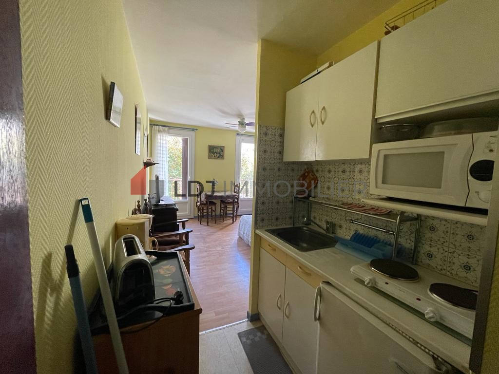 Vente Appartement à Amélie-les-Bains-Palalda 1 pièce