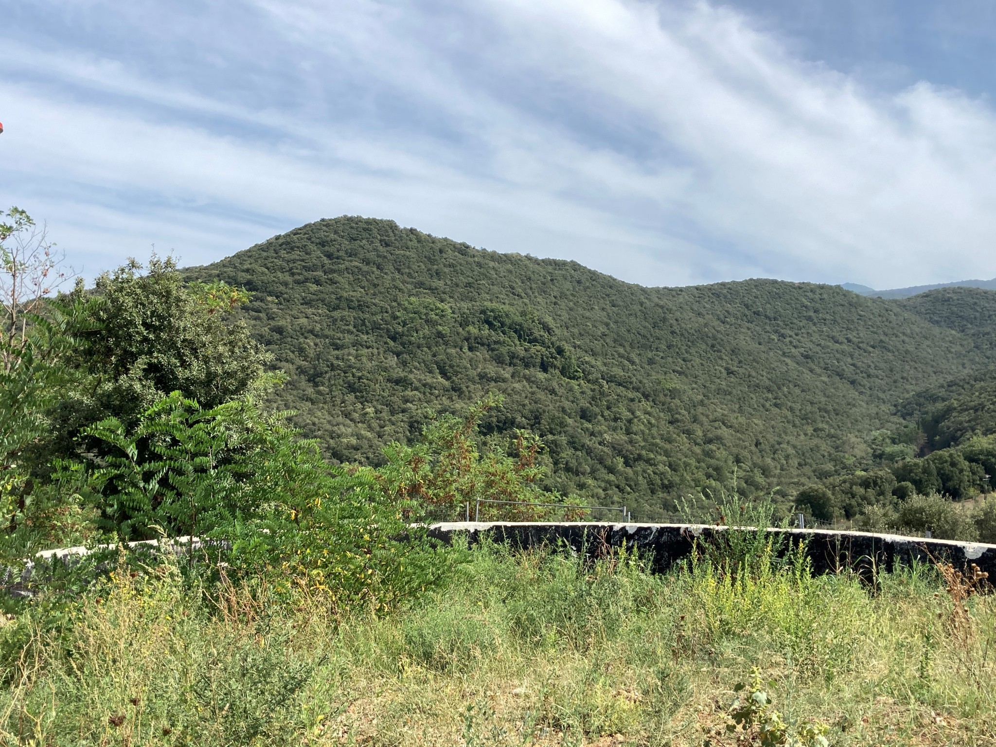 Vente Terrain à Amélie-les-Bains-Palalda 0 pièce