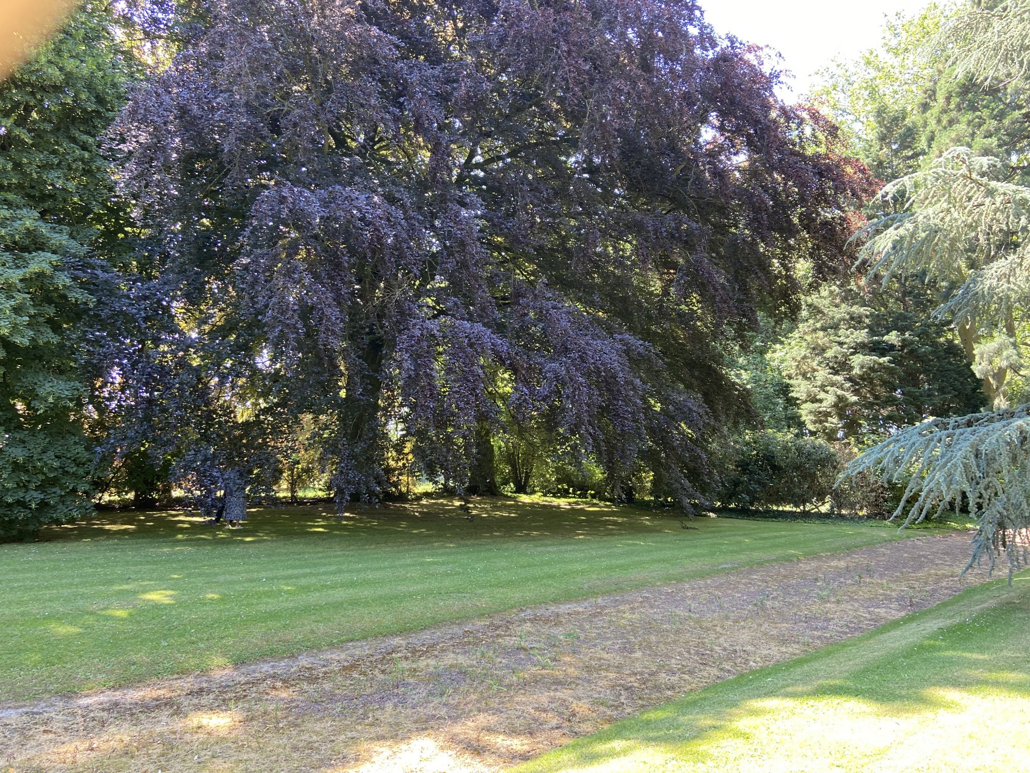 Viager Maison à Maing 10 pièces