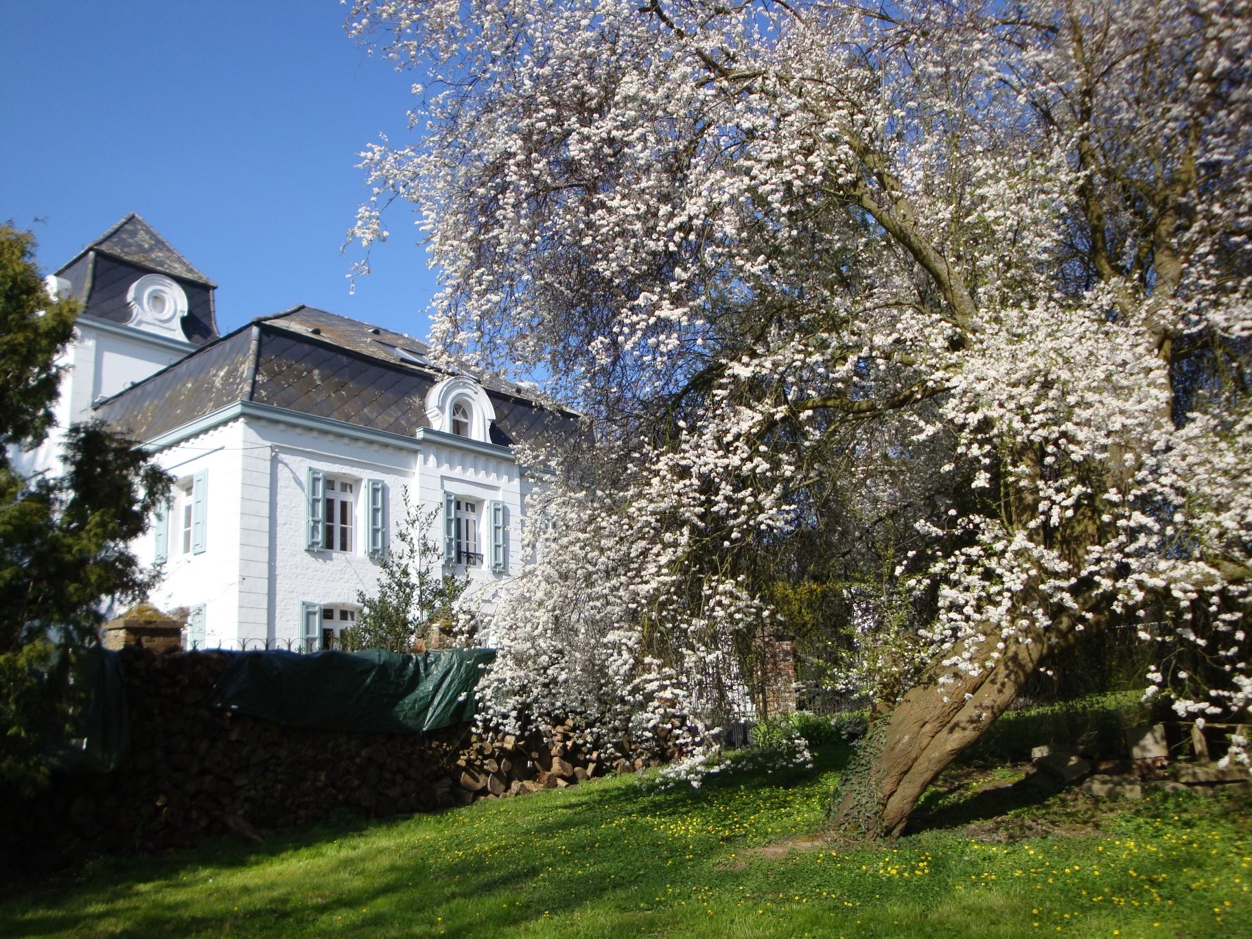 Vente Maison à Wargnies-le-Grand 8 pièces