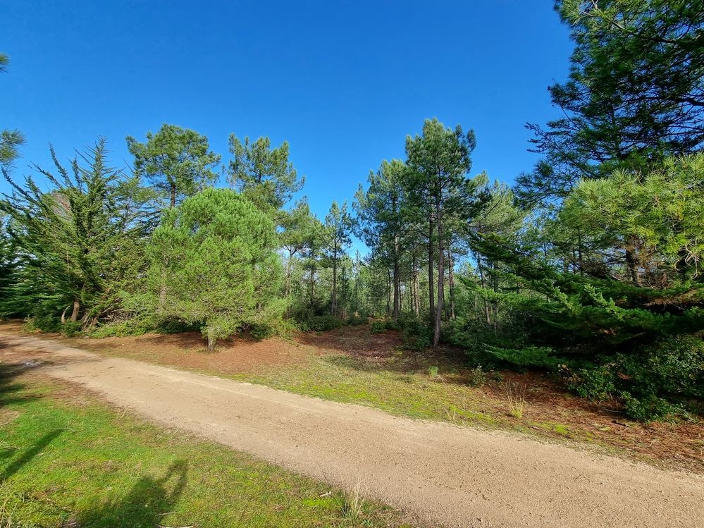 Vente Terrain à Saint-Jean-de-Monts 0 pièce