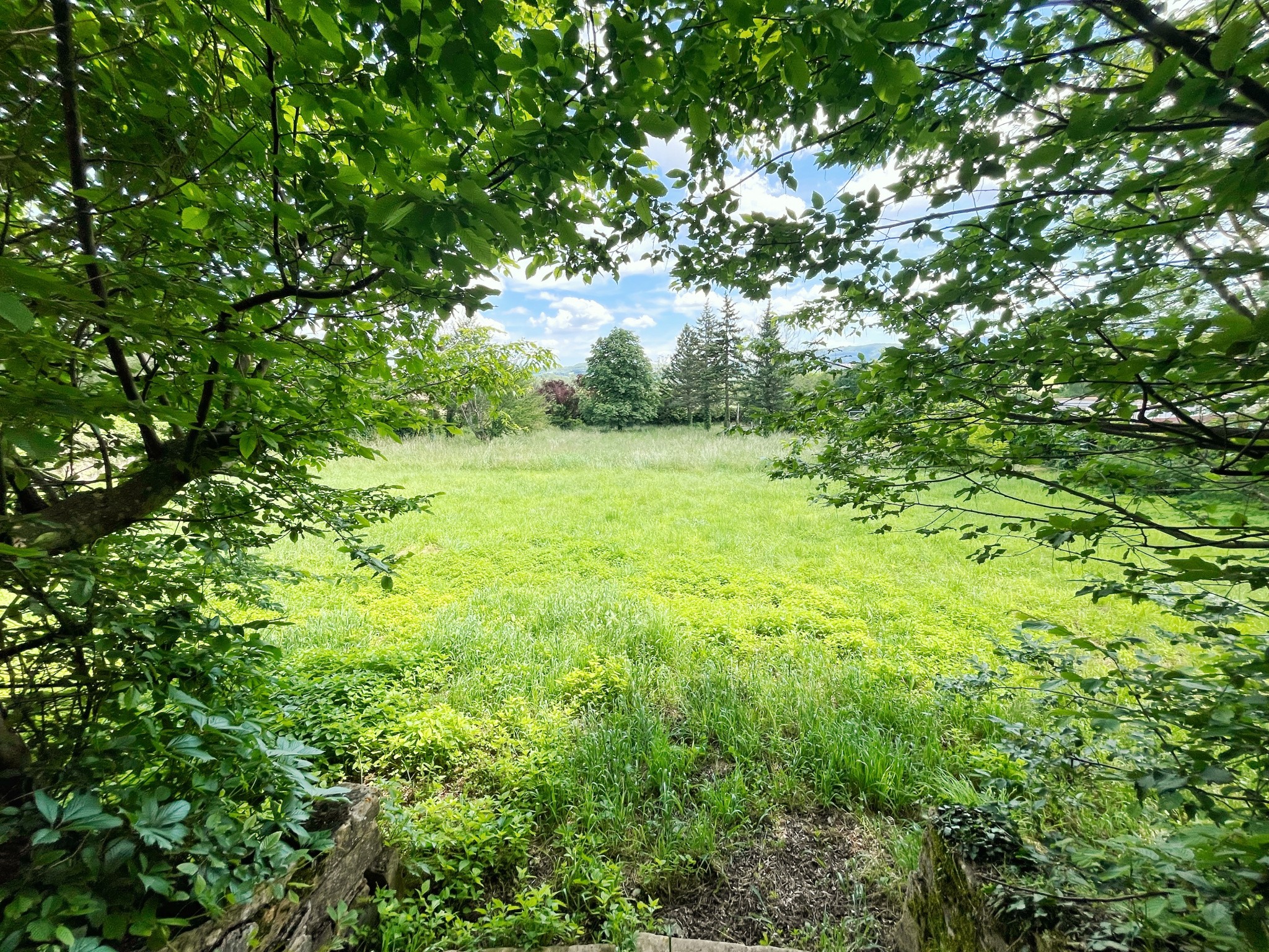 Vente Maison à Savigny 20 pièces