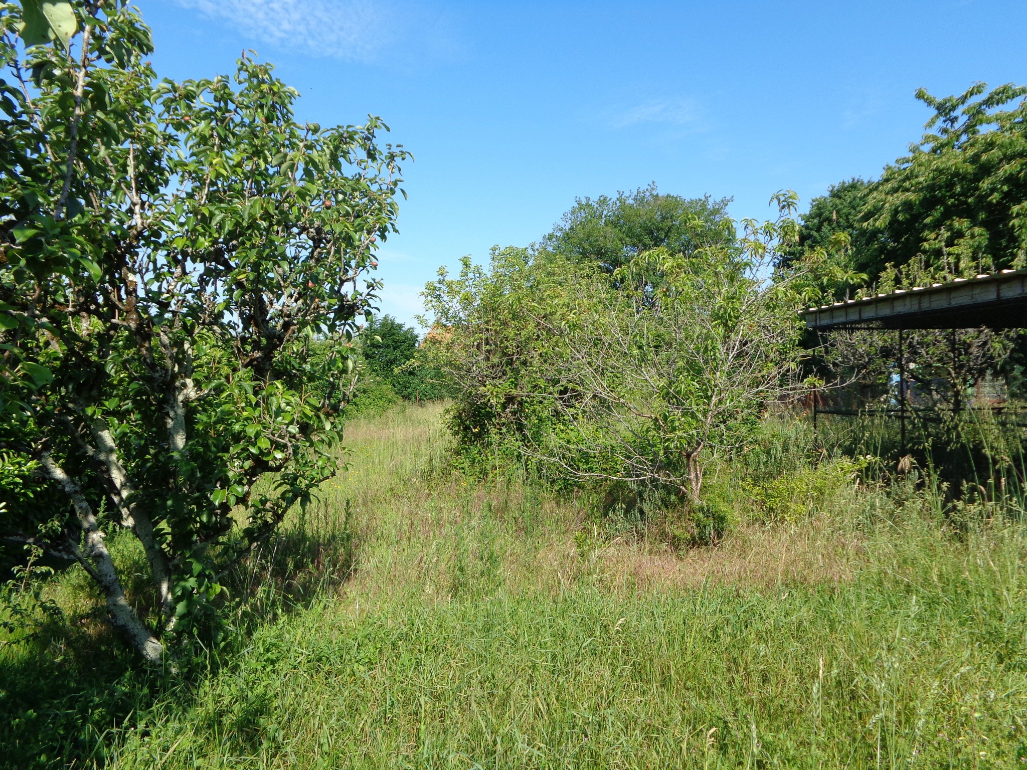 Vente Maison à Civray 4 pièces