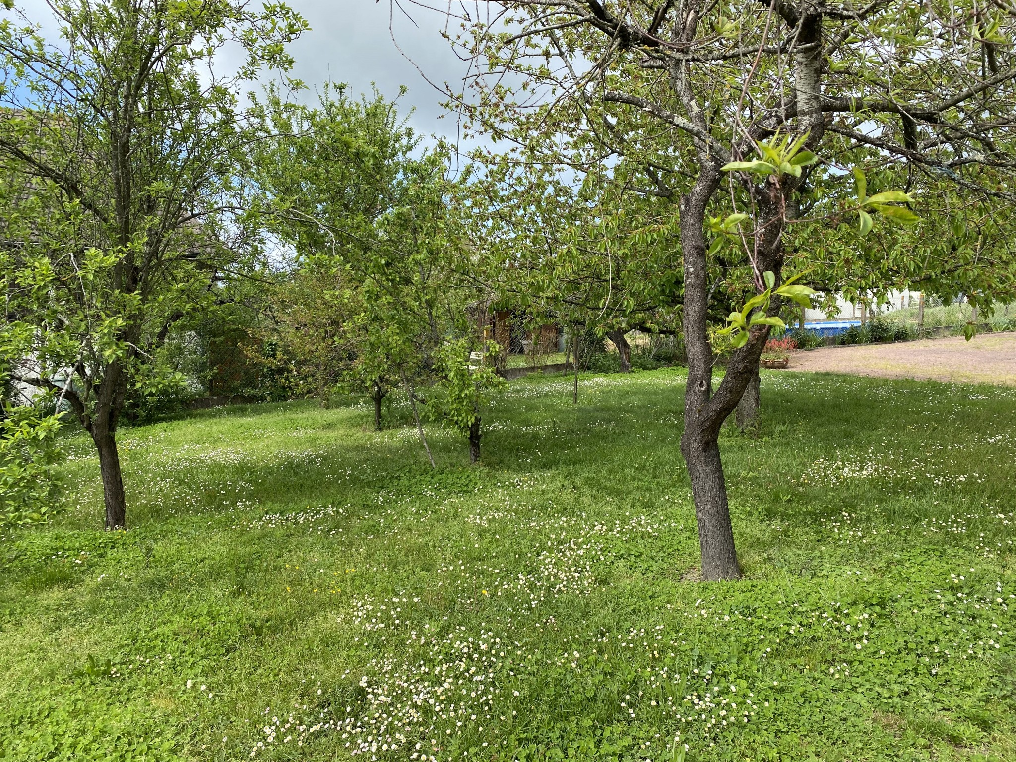 Vente Maison à Descartes 5 pièces