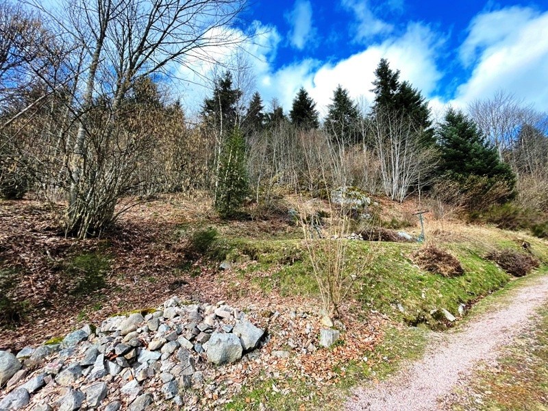 Vente Maison à Gérardmer 13 pièces