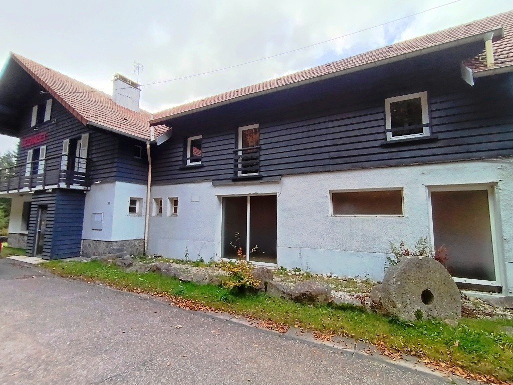 Vente Maison à Gérardmer 18 pièces