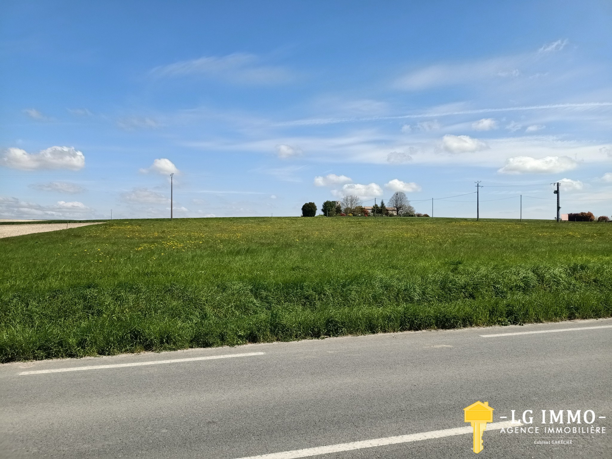 Vente Terrain à Saint-Ciers-du-Taillon 0 pièce